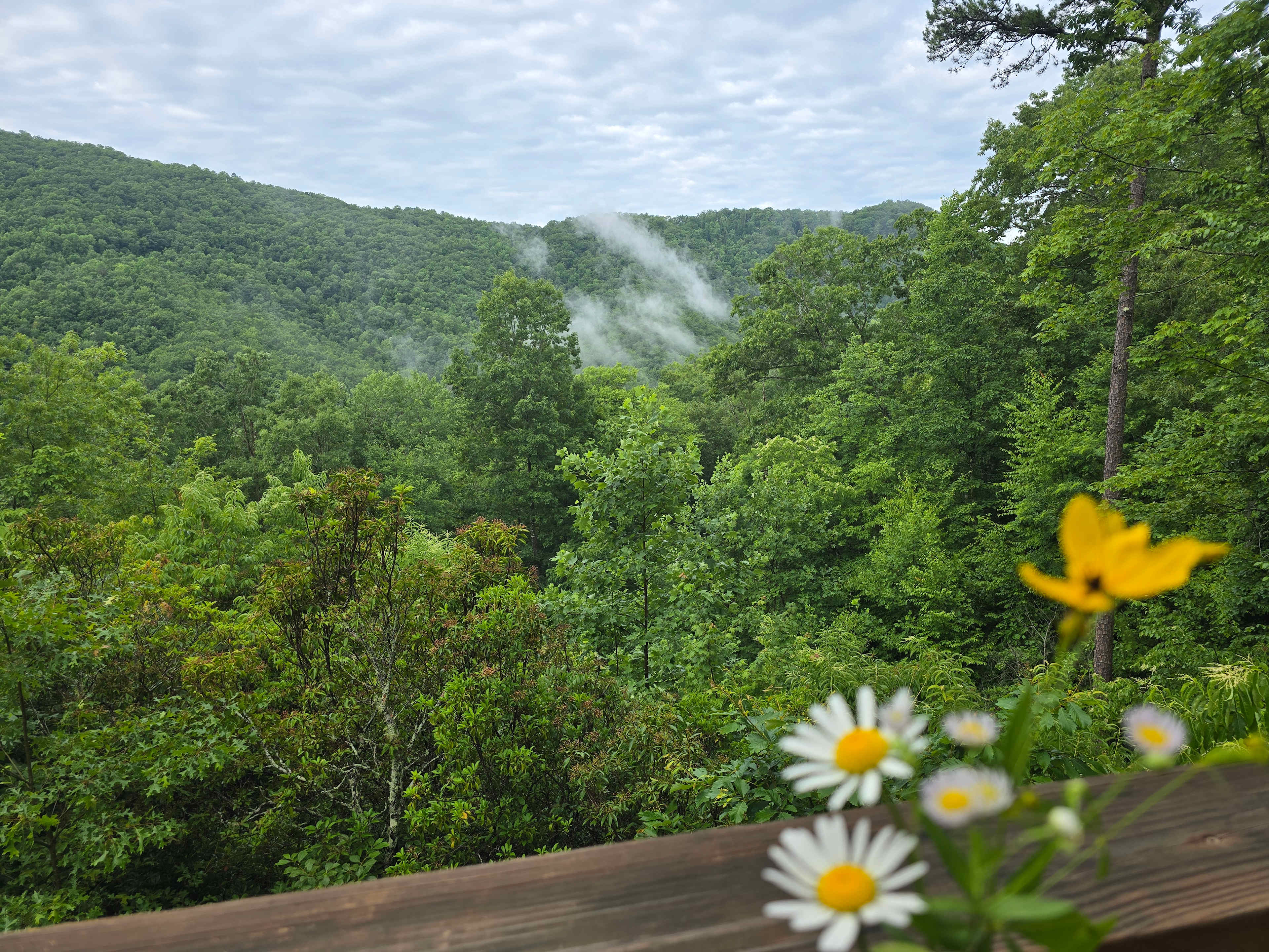 The Rowdy Bear Off-Grid Glamping
