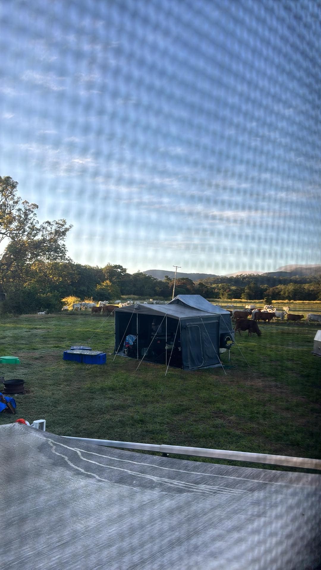 Cattle Camp, Sarina, QLD