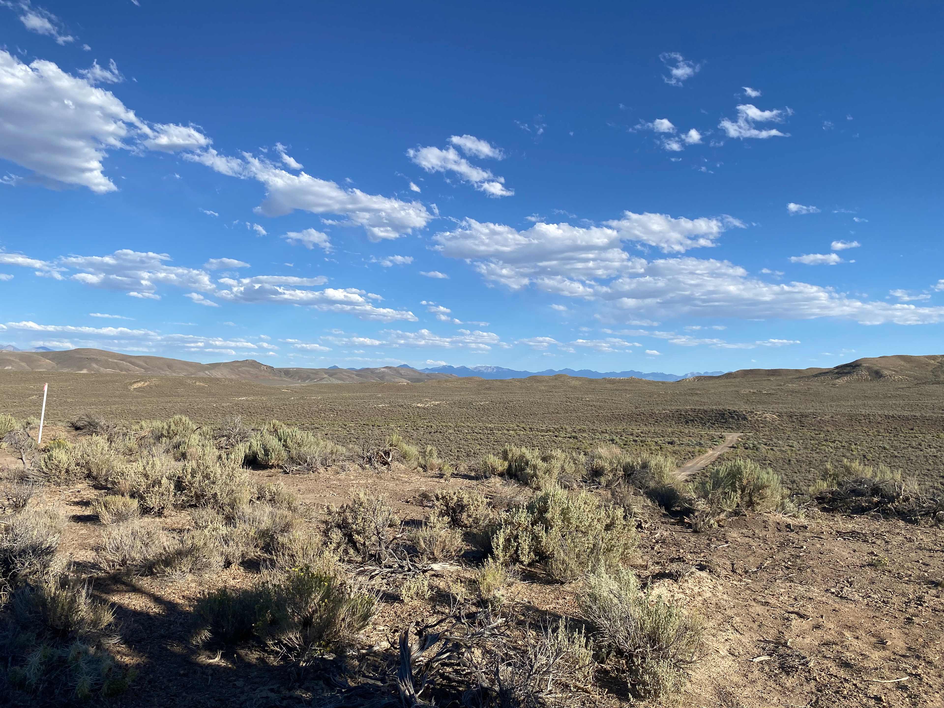 Ethereal Ranch