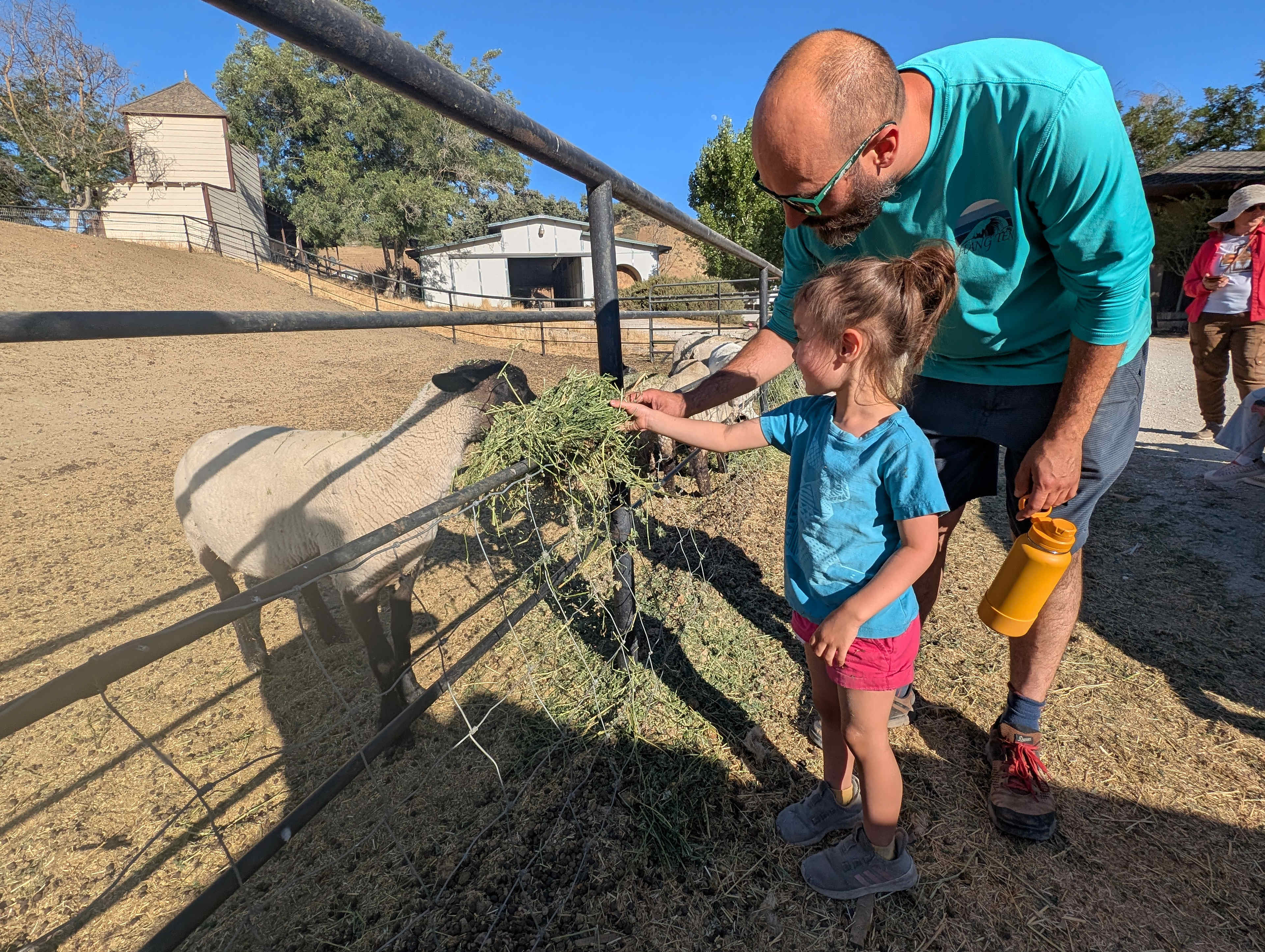 Animal Feeding Experience