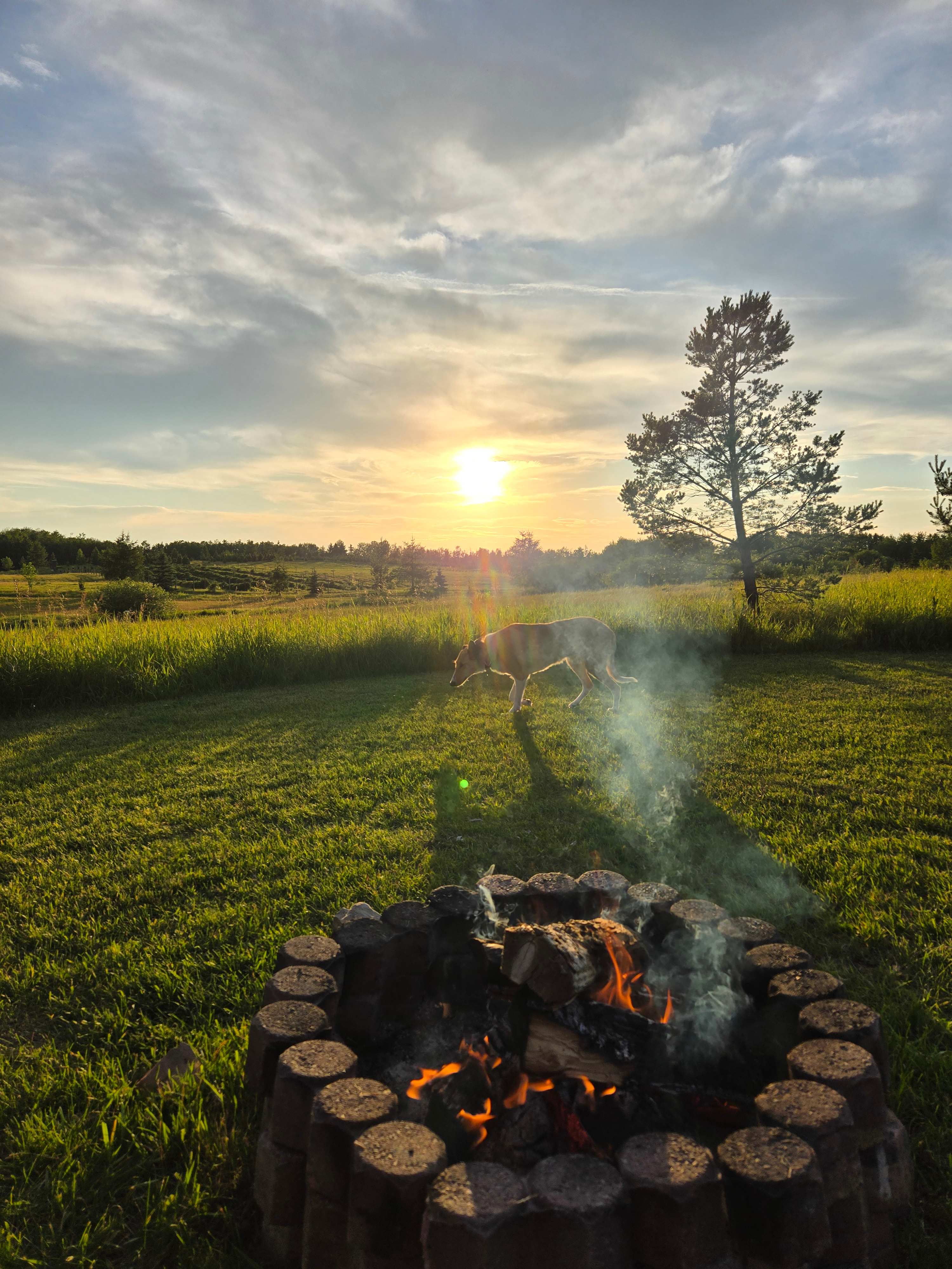 Elk Island Getaway