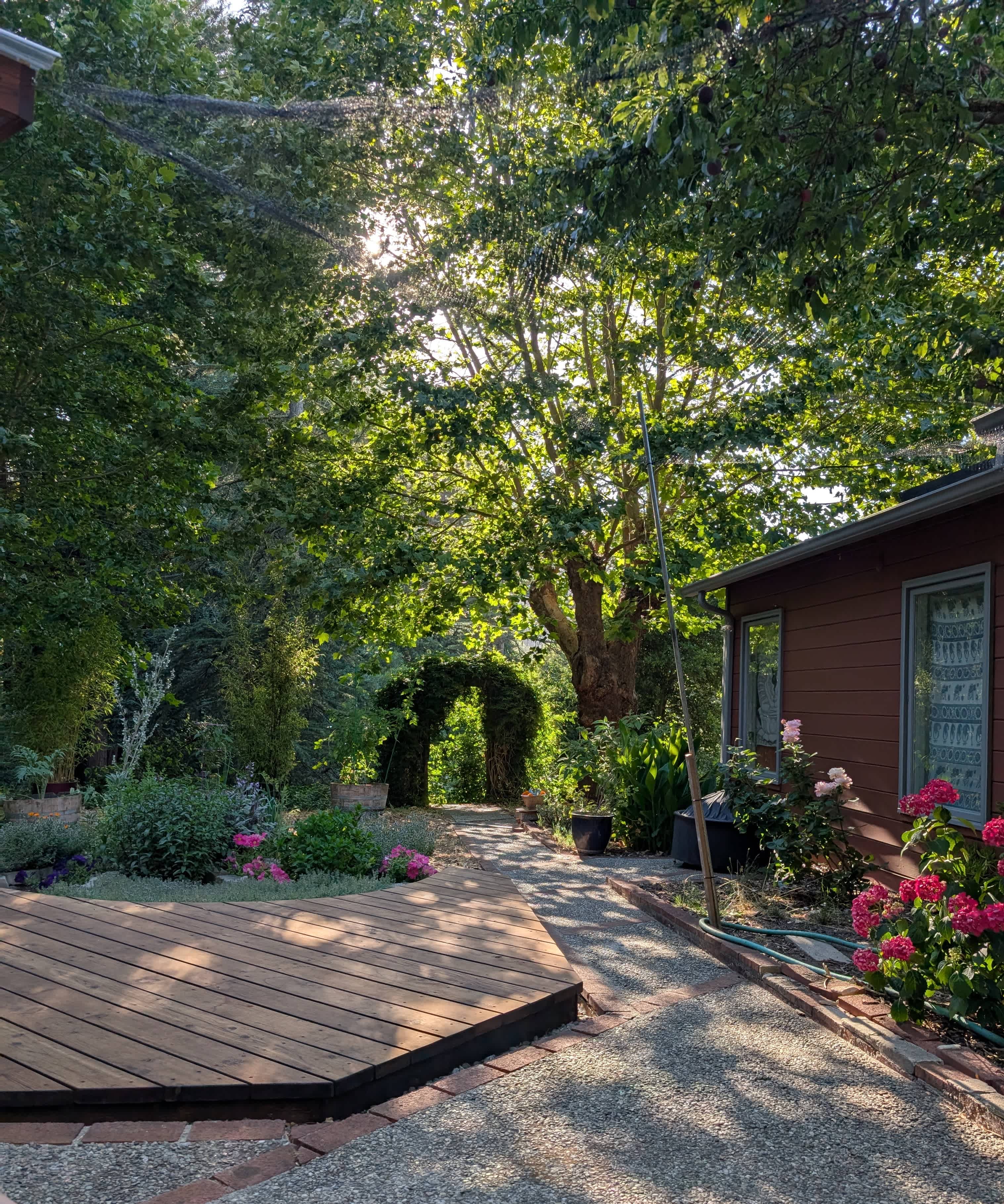View of the enchanted garden