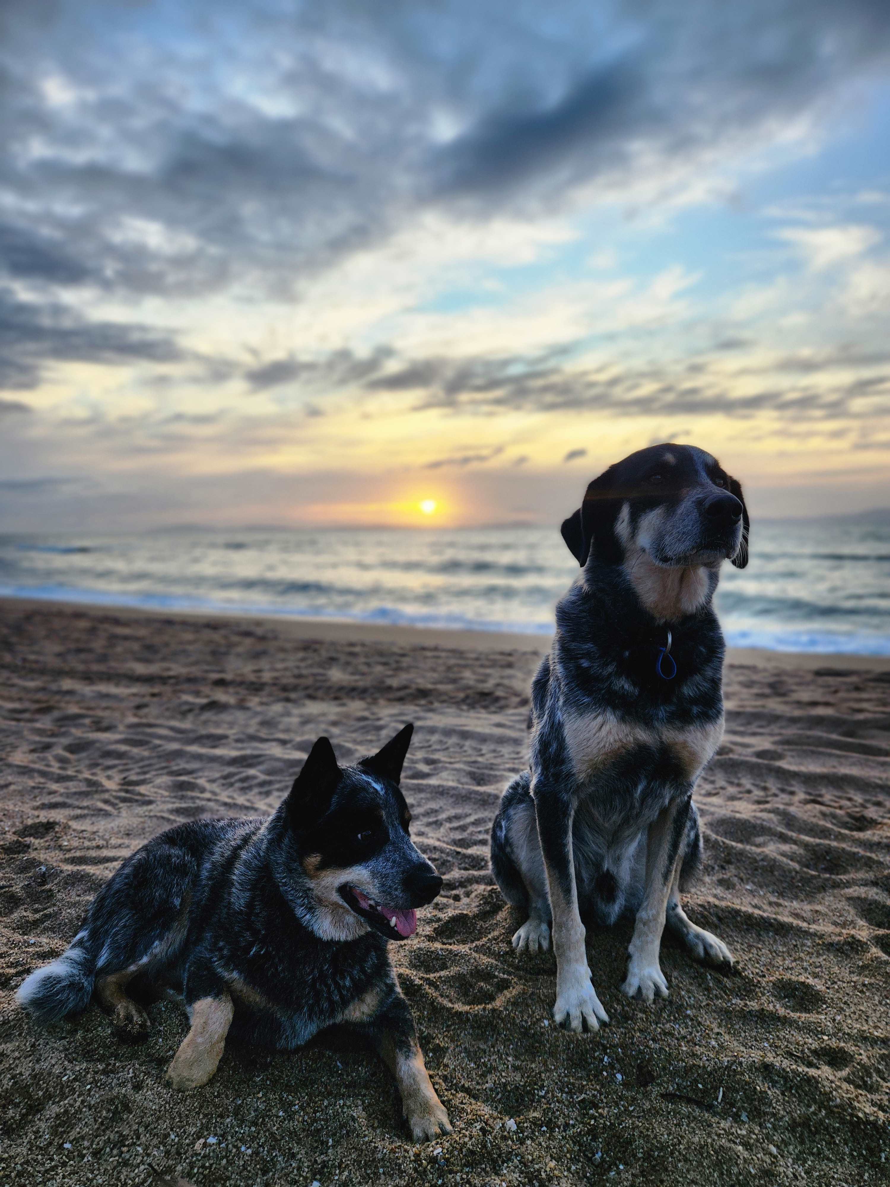 Forrest Beach Hotel Caravan Park