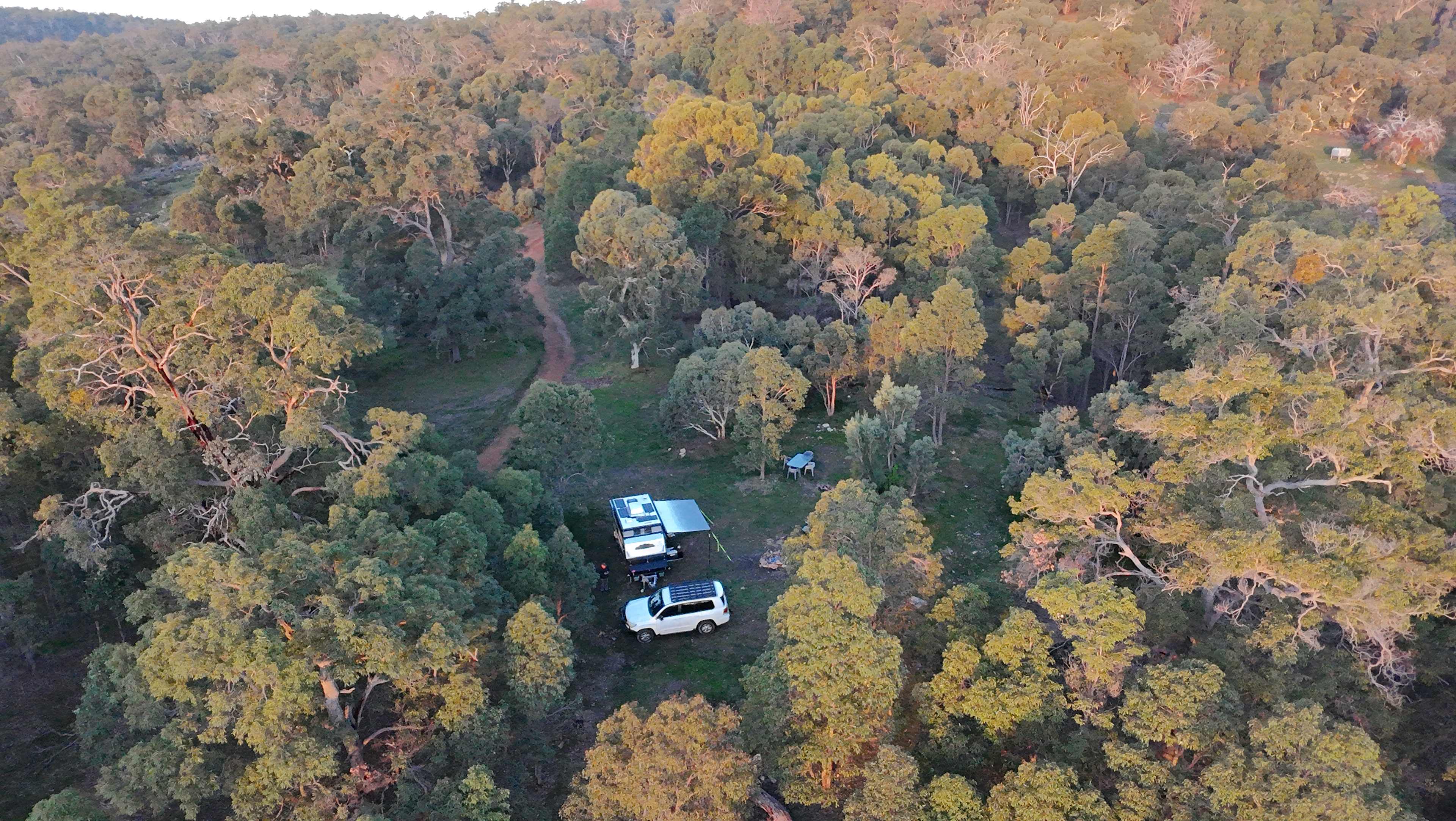 100-Acre Woods