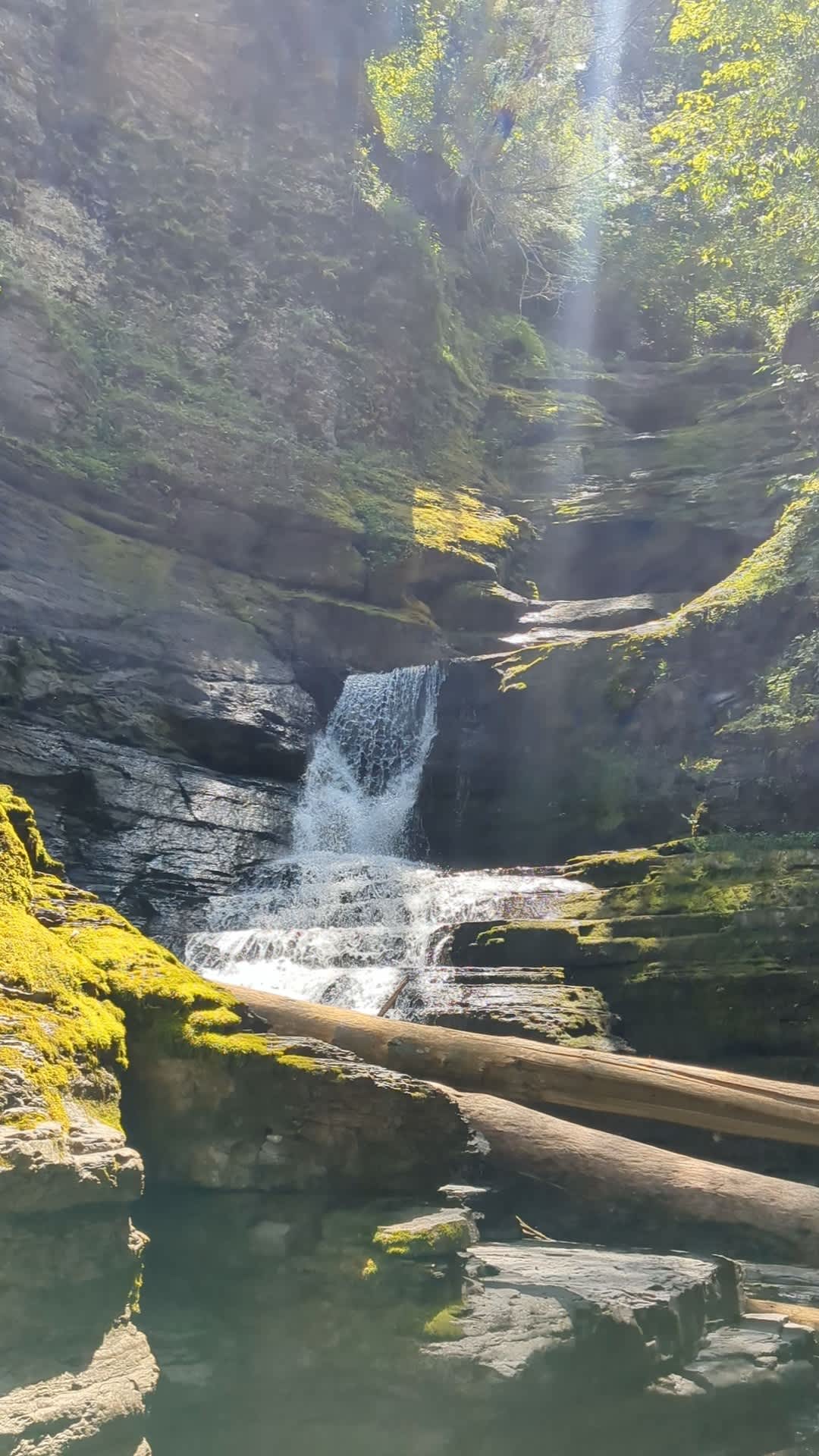 Waterfall Sanctuary & Quiet Retreat