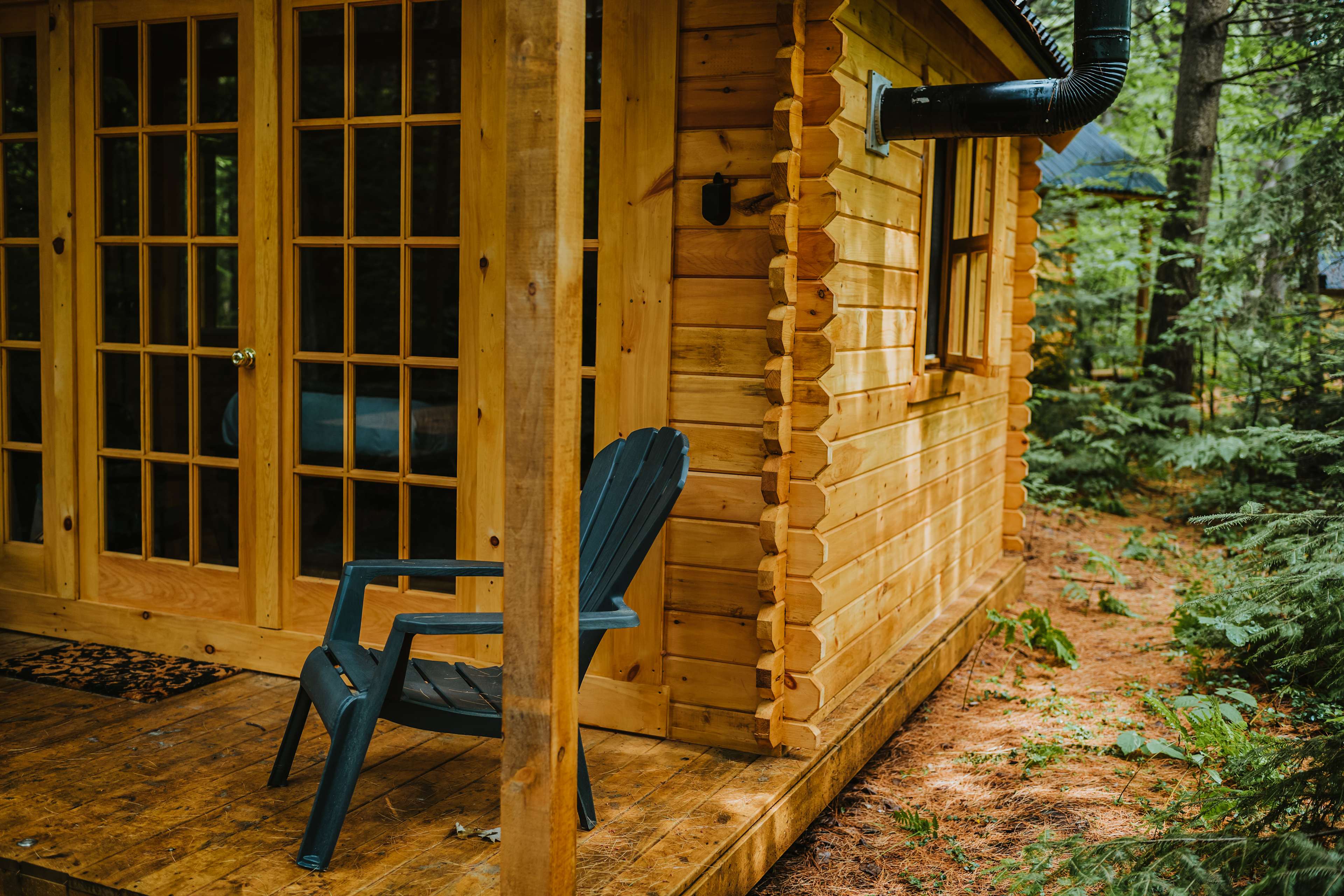 That Place In The Woods - Photo 3