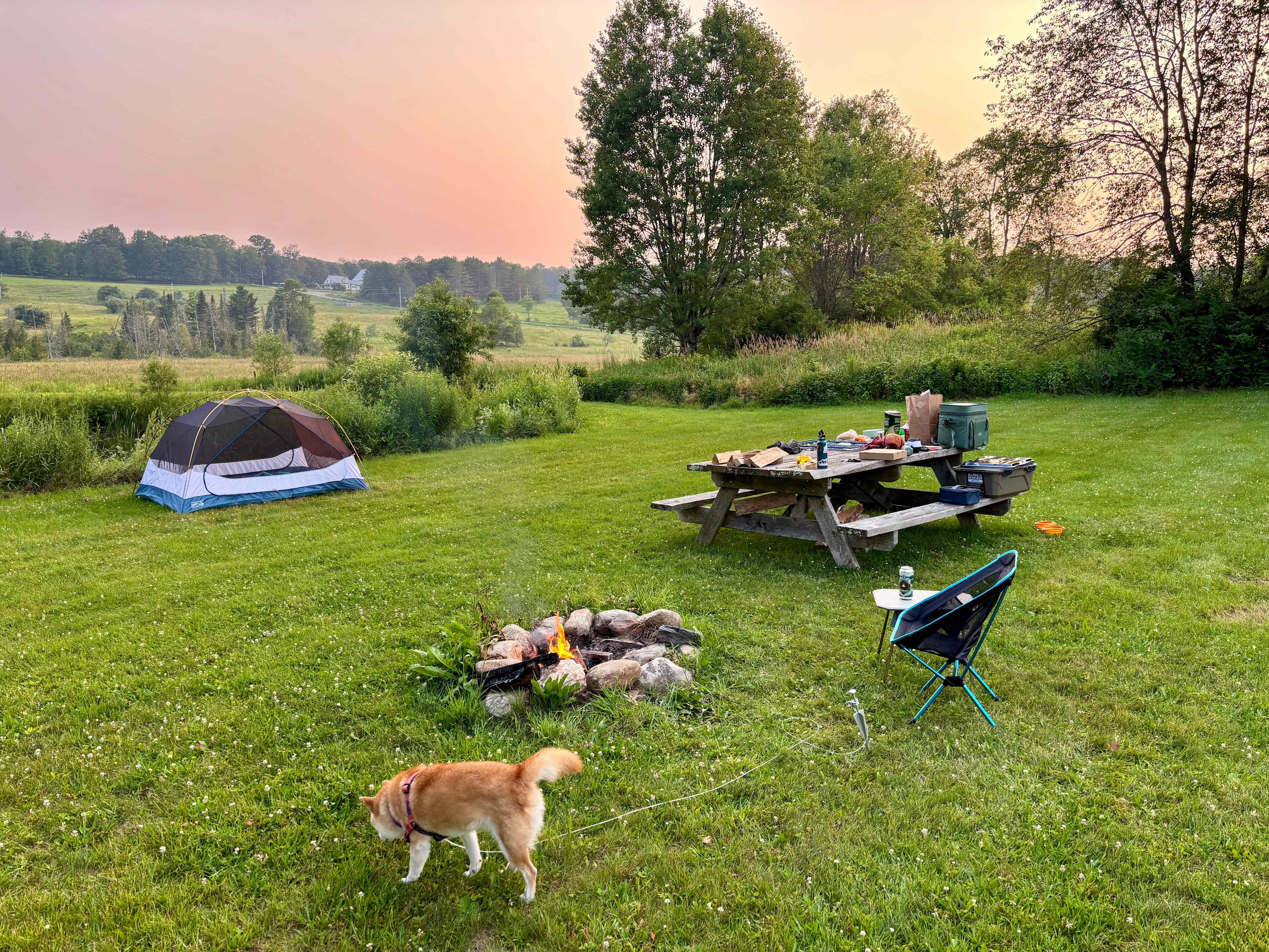 Peck Farm Orchard Campsite at Sunset in July