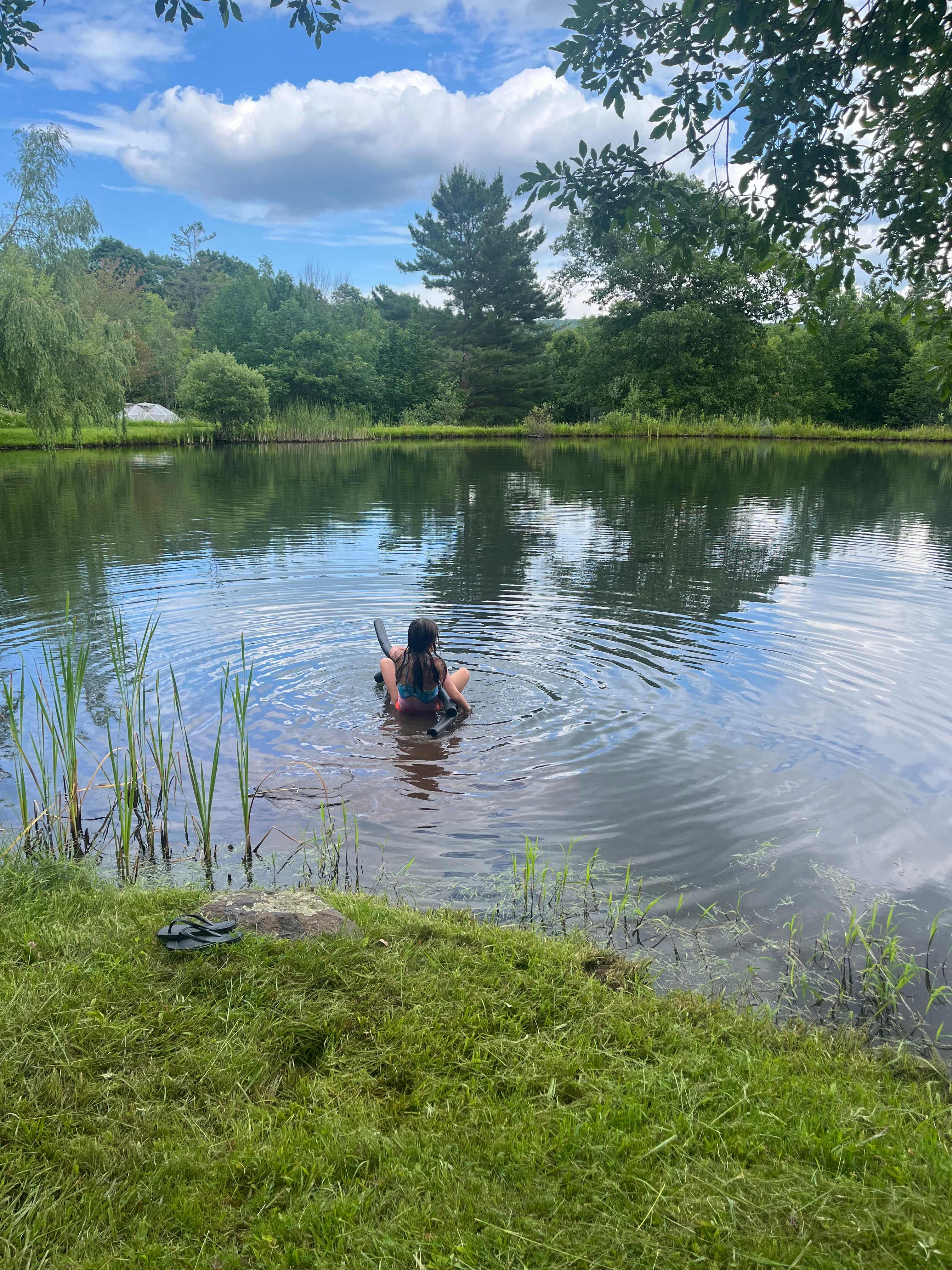 Catskills Forest Pondside Hideaway
