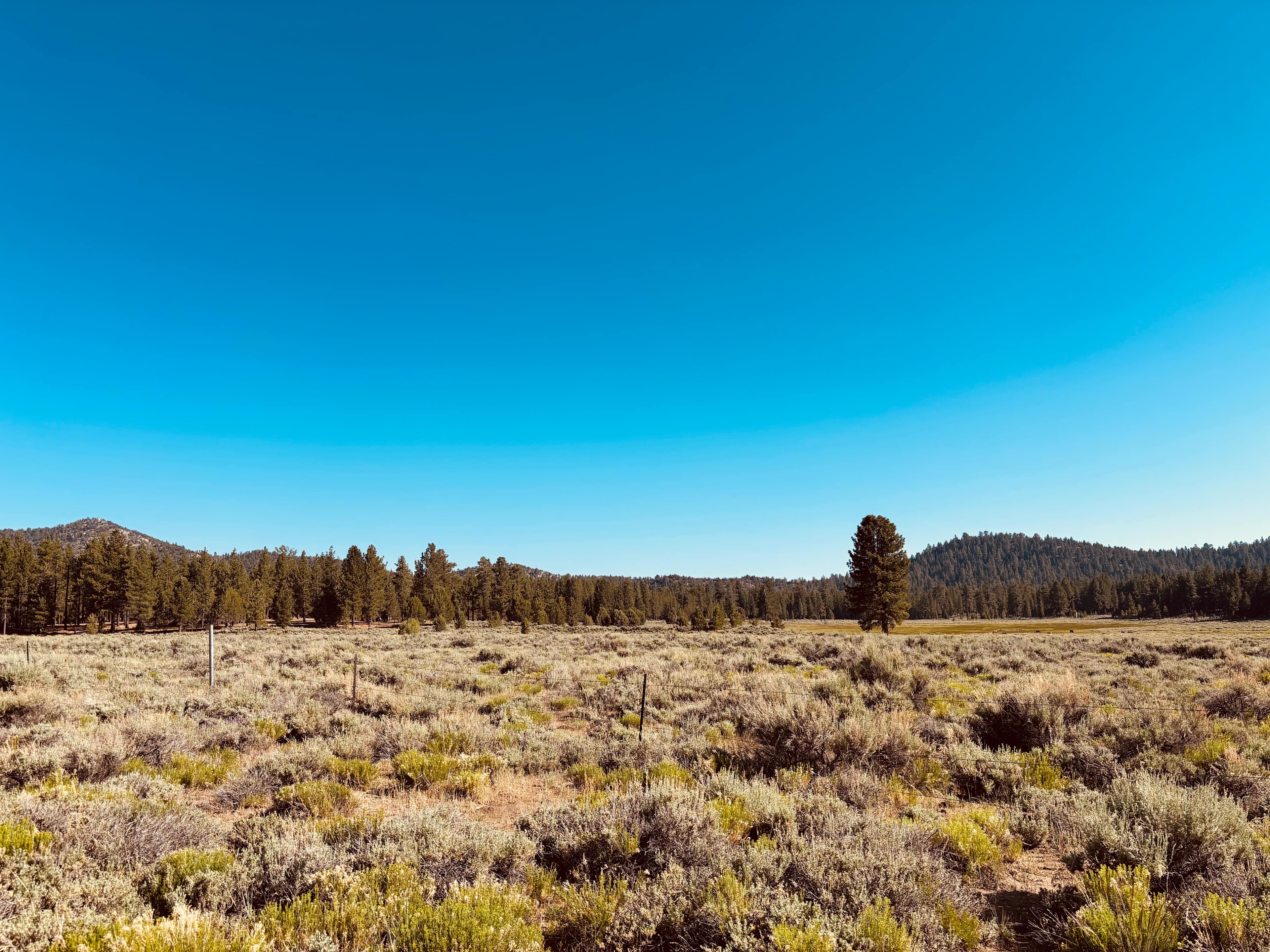 Holcomb Valley Ranch