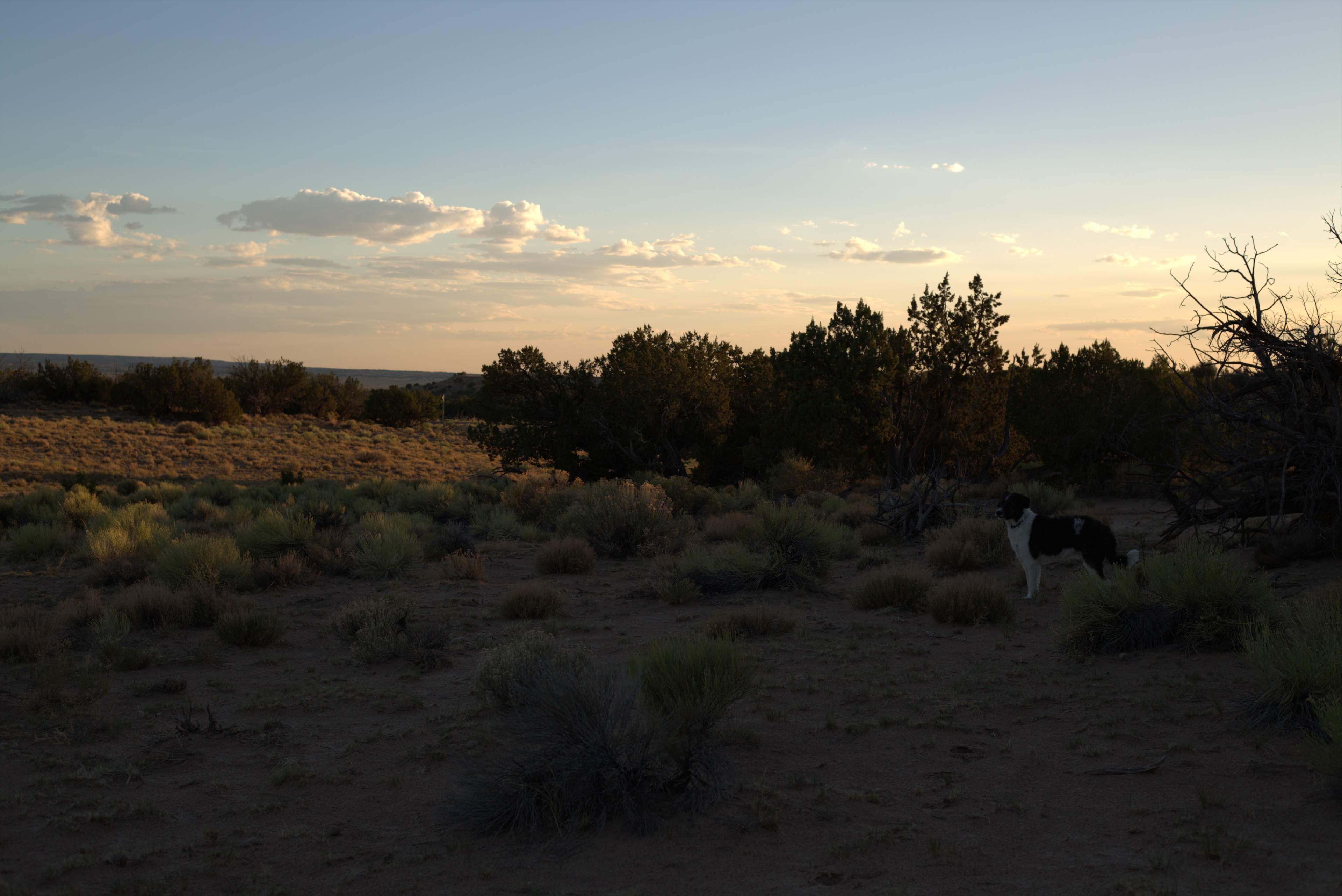 Rugged Desert Camping at YL Ranch