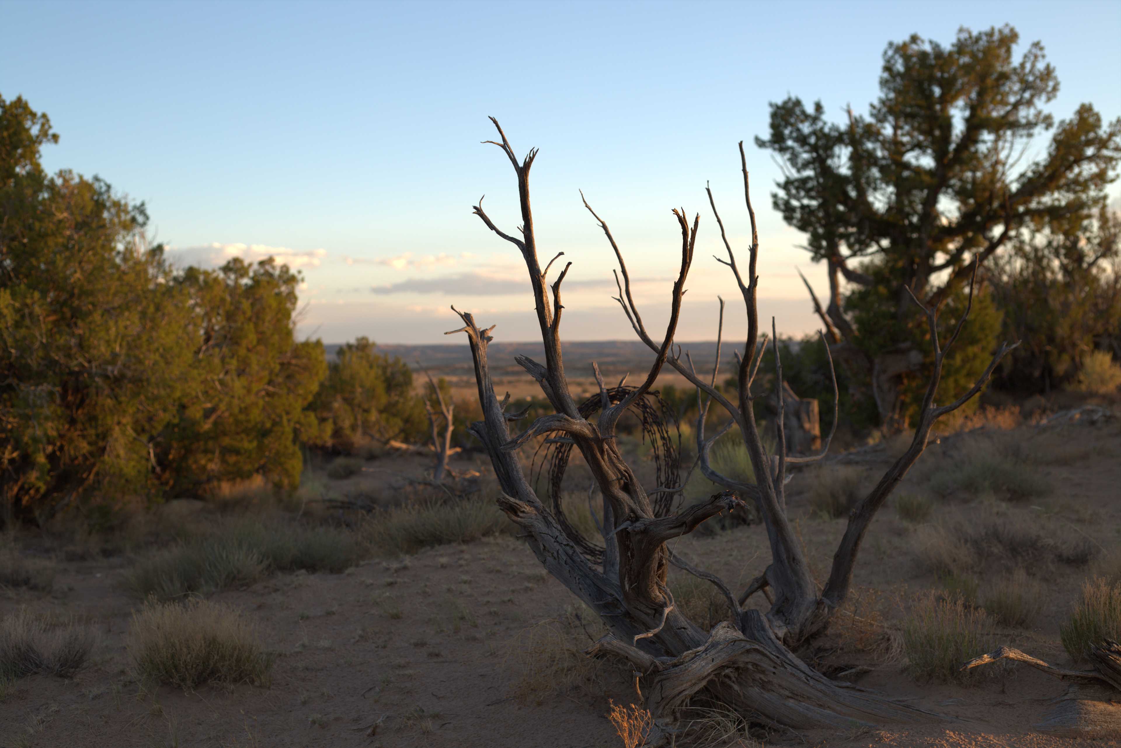 Rugged Desert Camping at YL Ranch