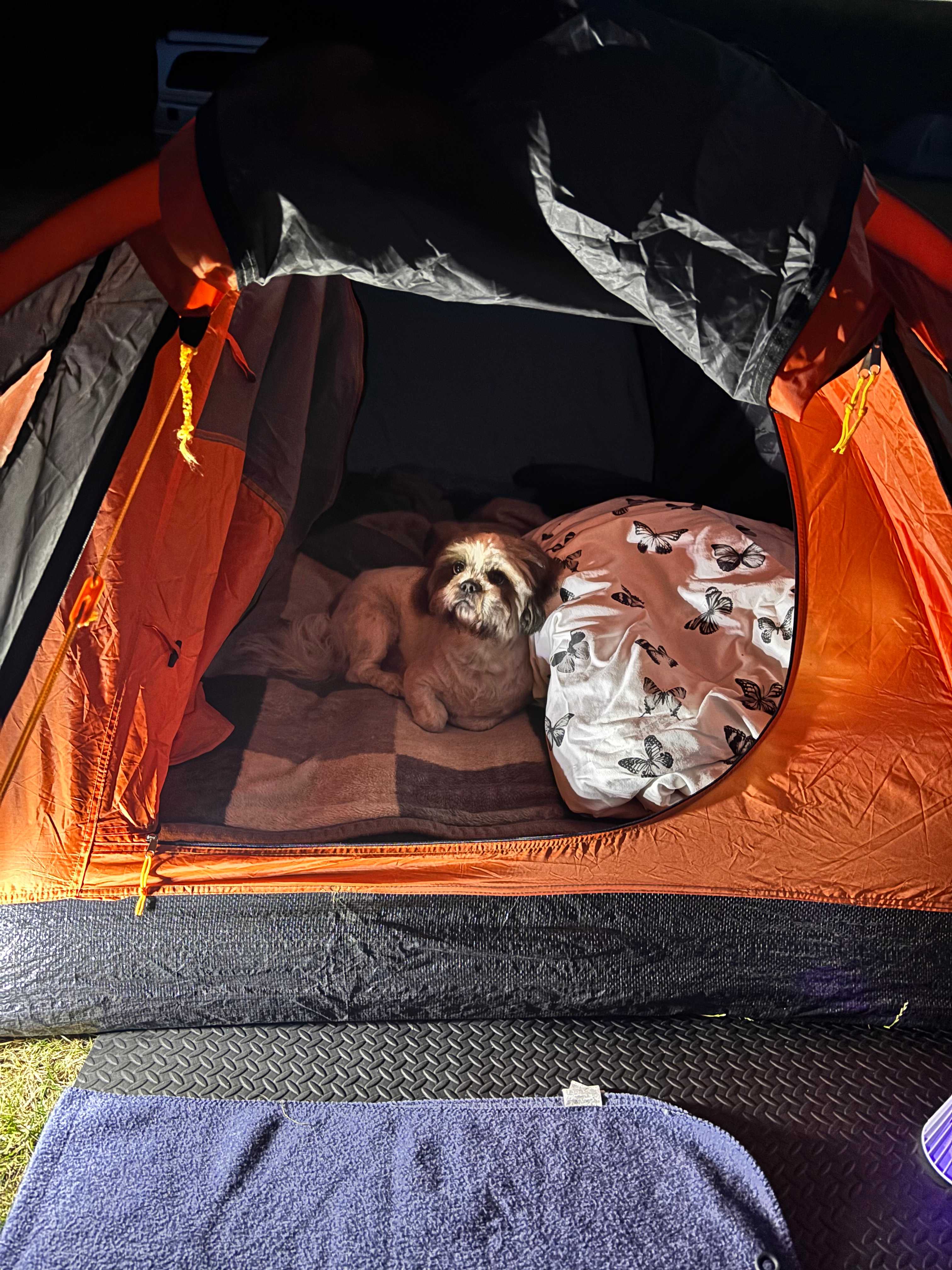 Housedean Farm Campsite