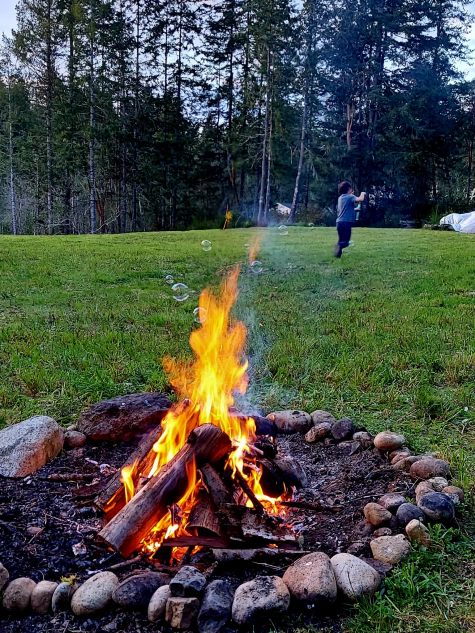 Camp Vixen