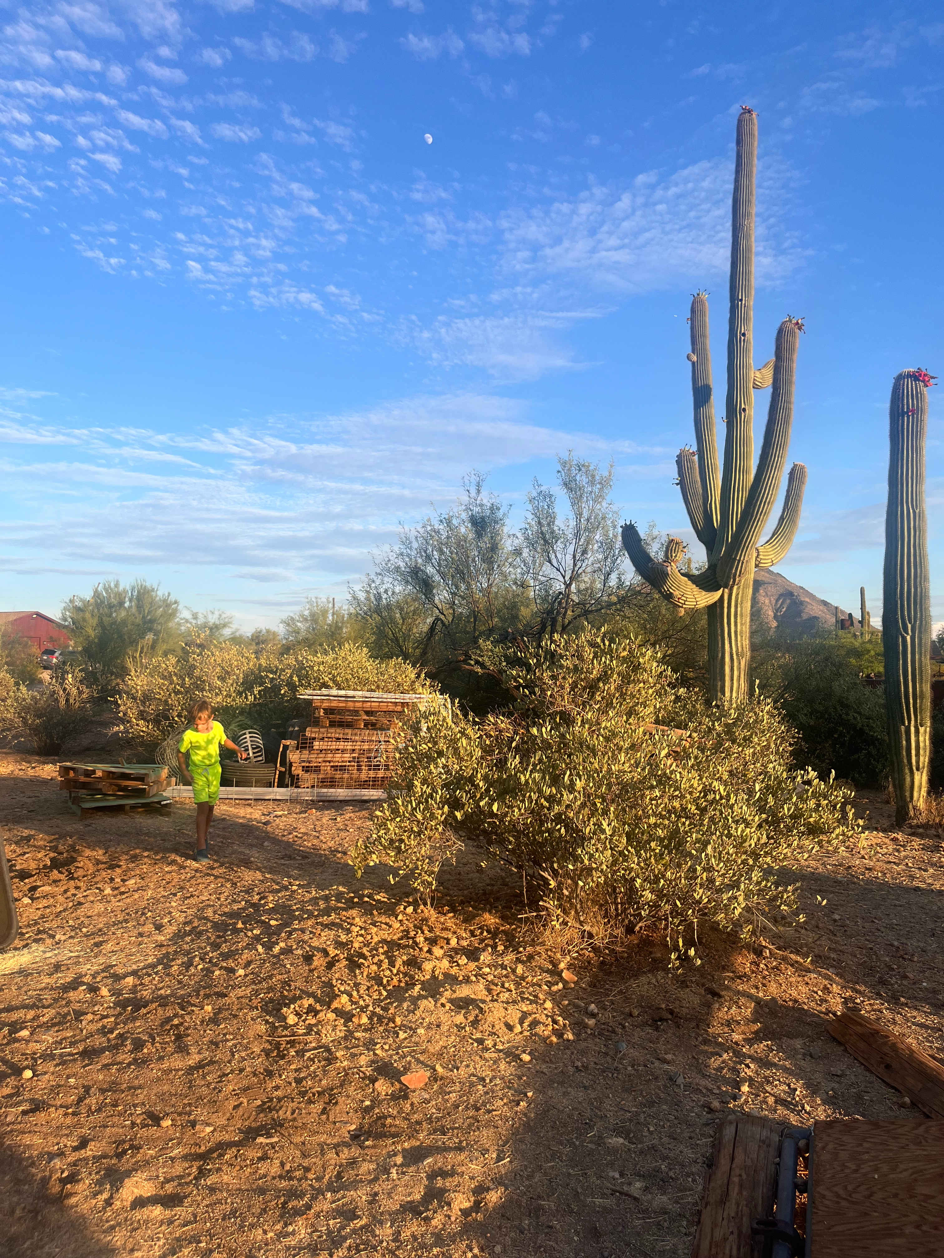 Marguerita Ranch