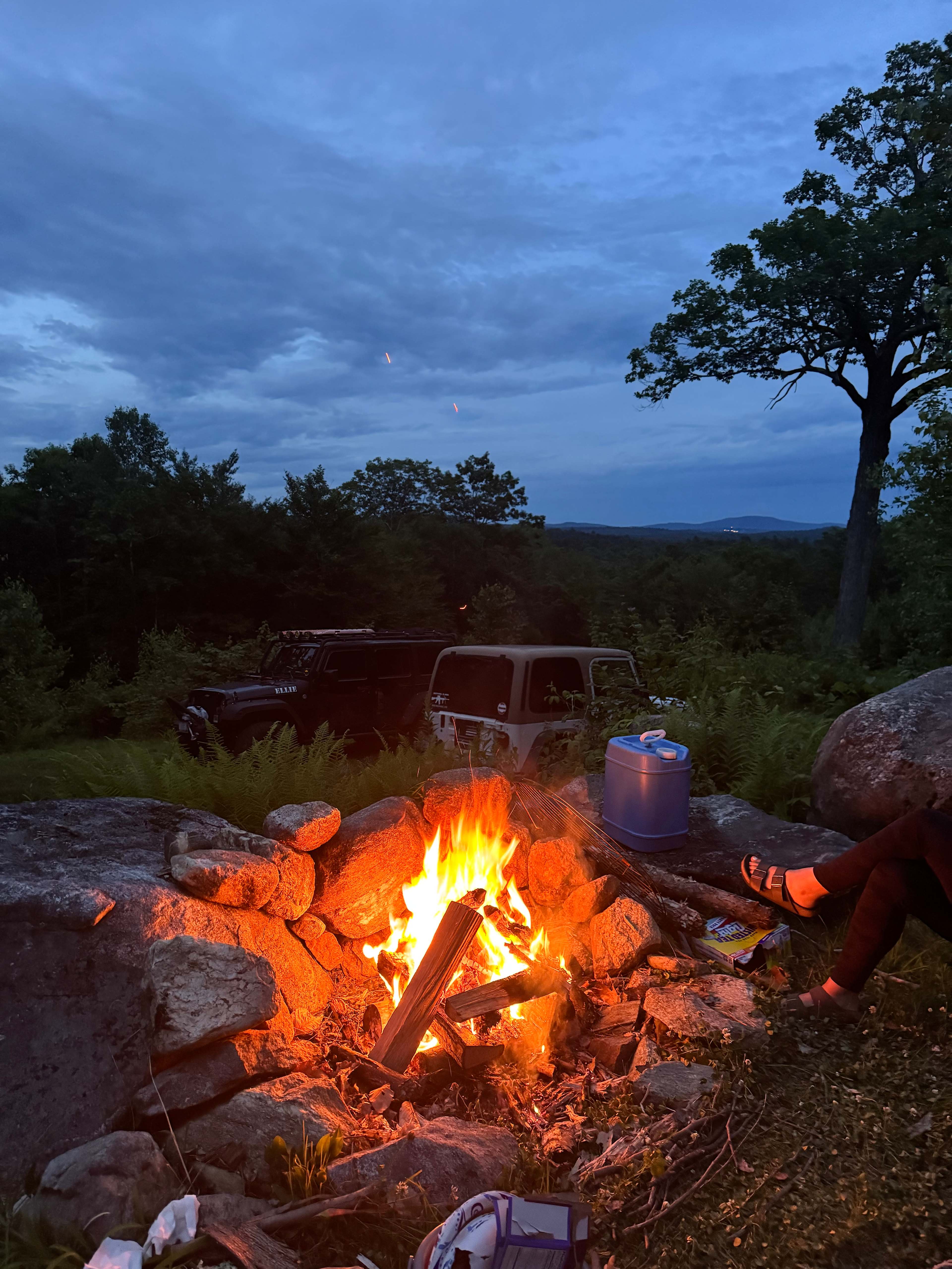 Lulu's 100 Acre Wood Cabin
