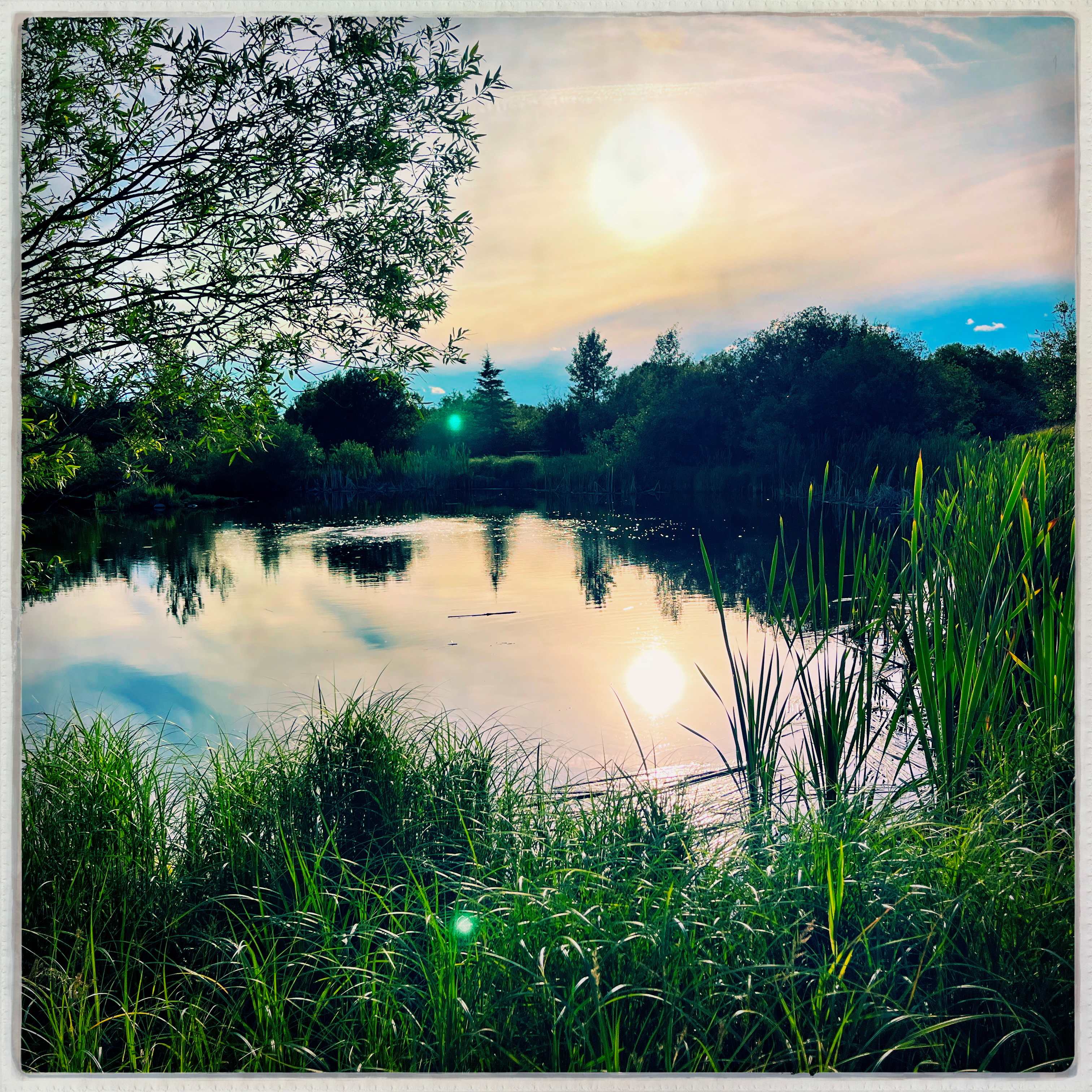 Elk Island Getaway