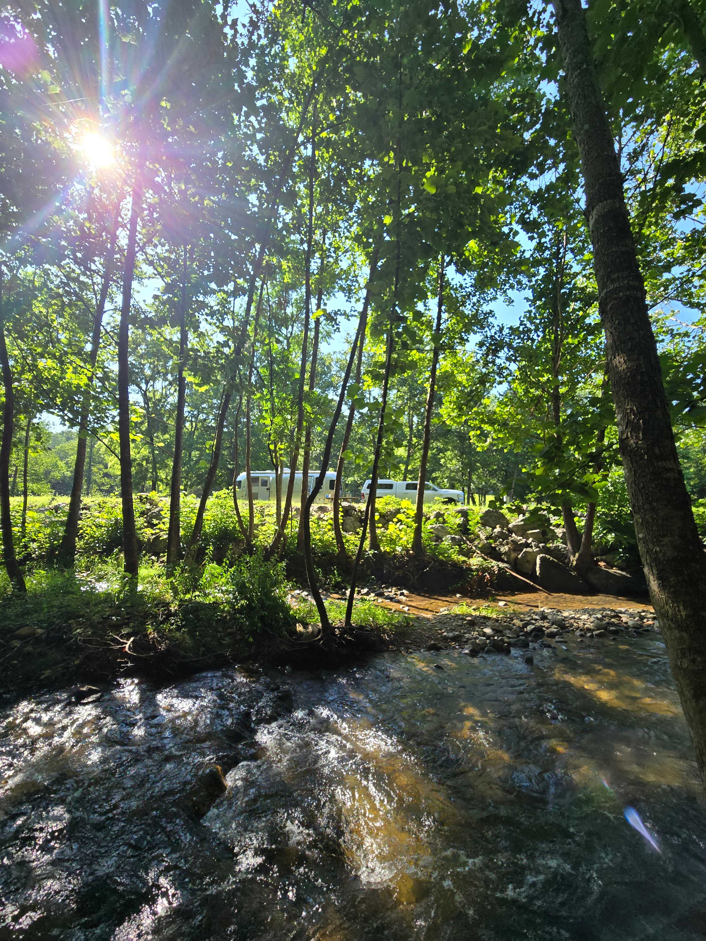 Swedish Lilac Campground & Events