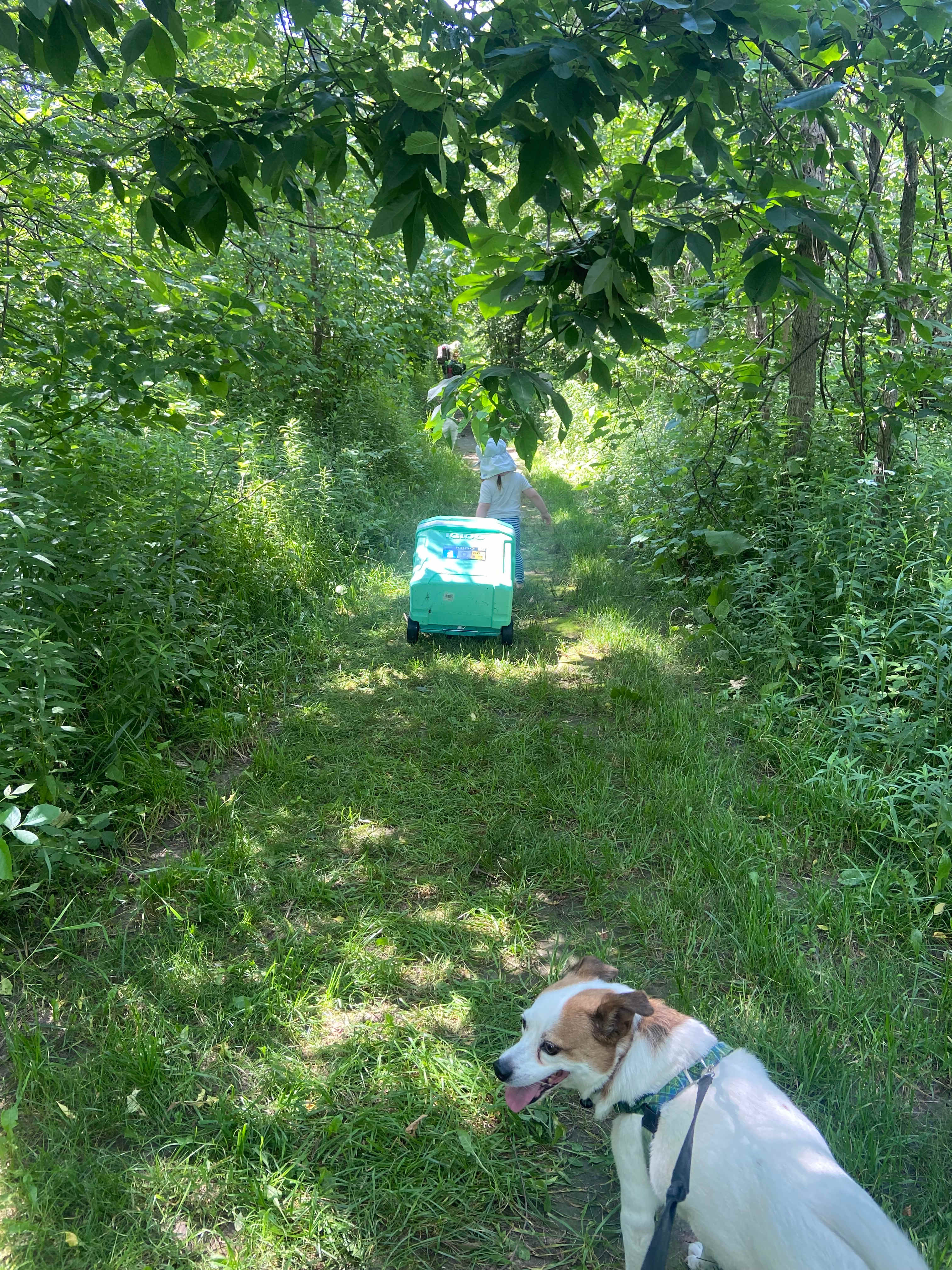 Fun walk to the campsite , we loved the privacy of Grapeline