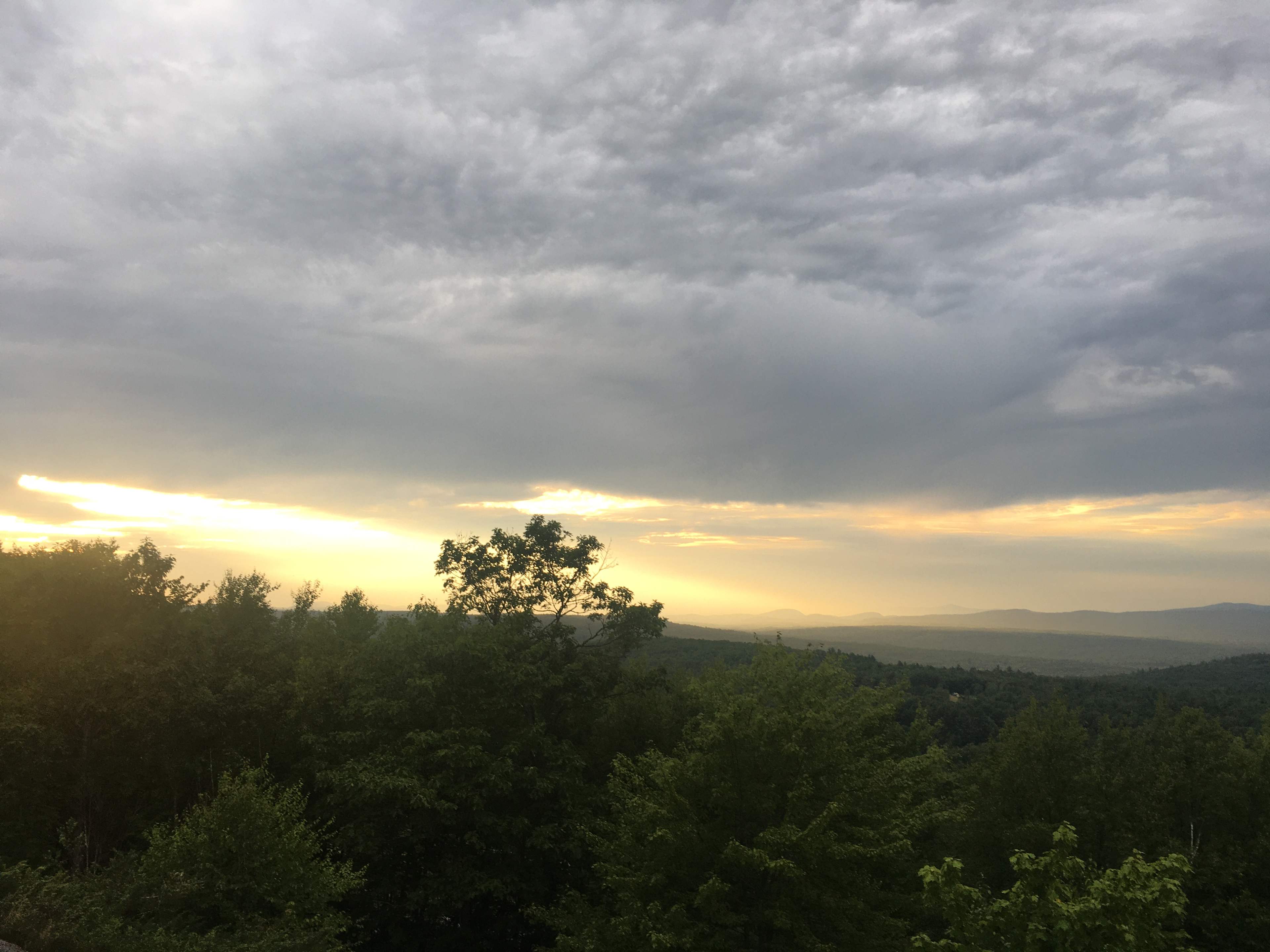 Hussey Mountain Tree Farm