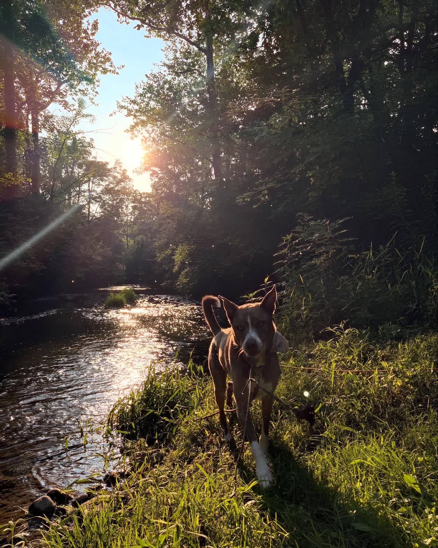 The Land of Milk And Honey