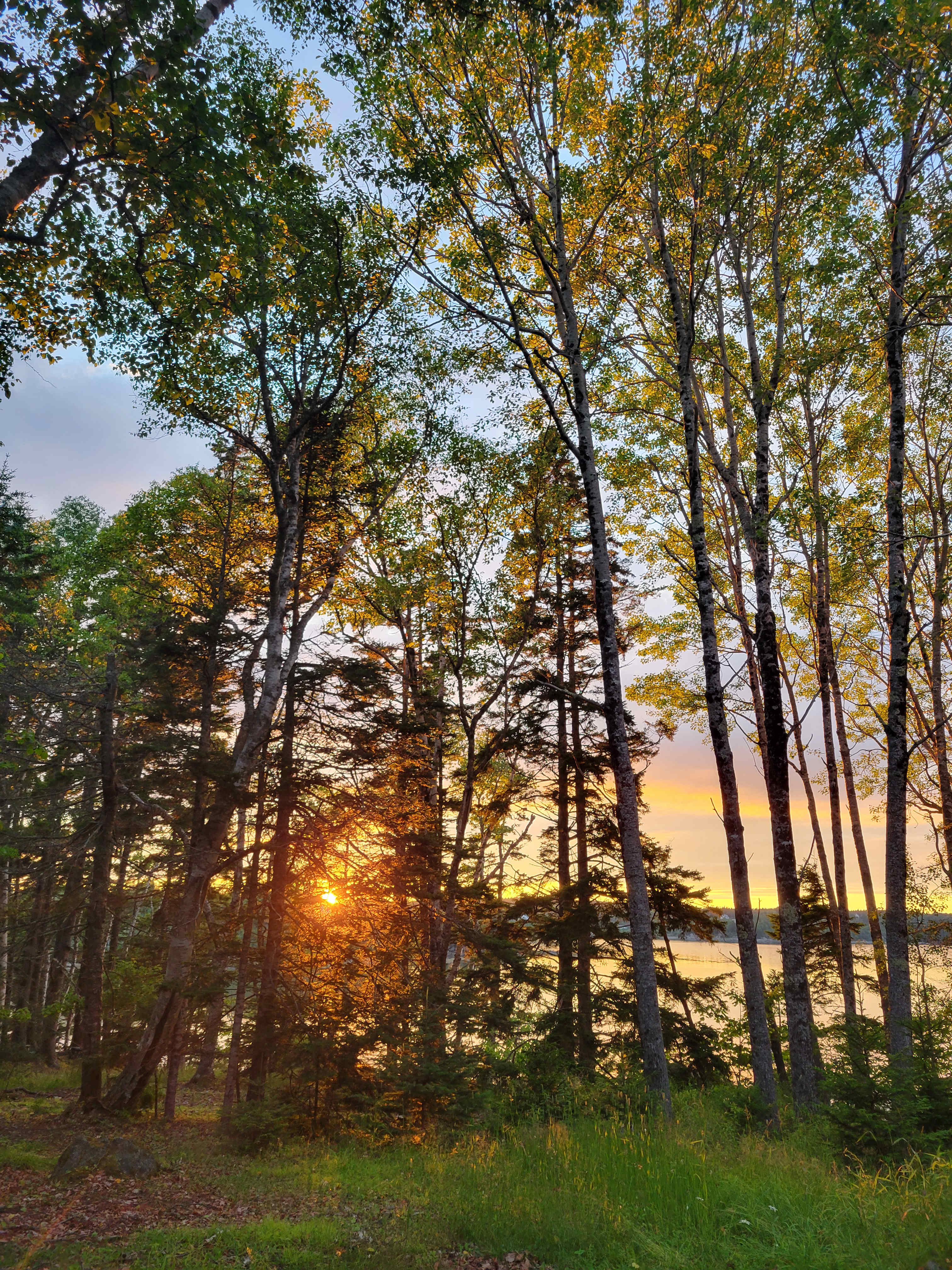 sunset view from near the firepit