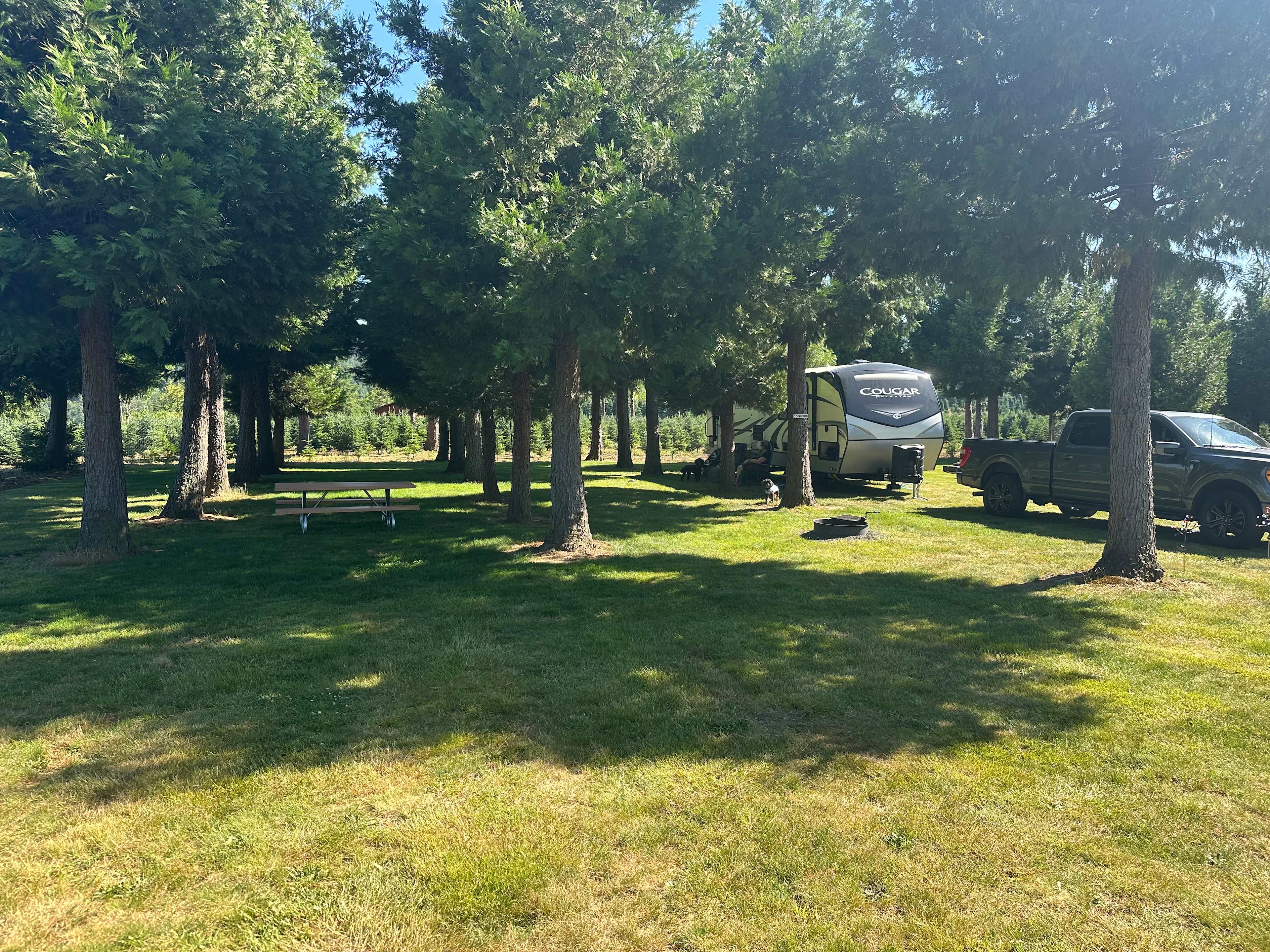 The Arboretum at Bear Canyon West