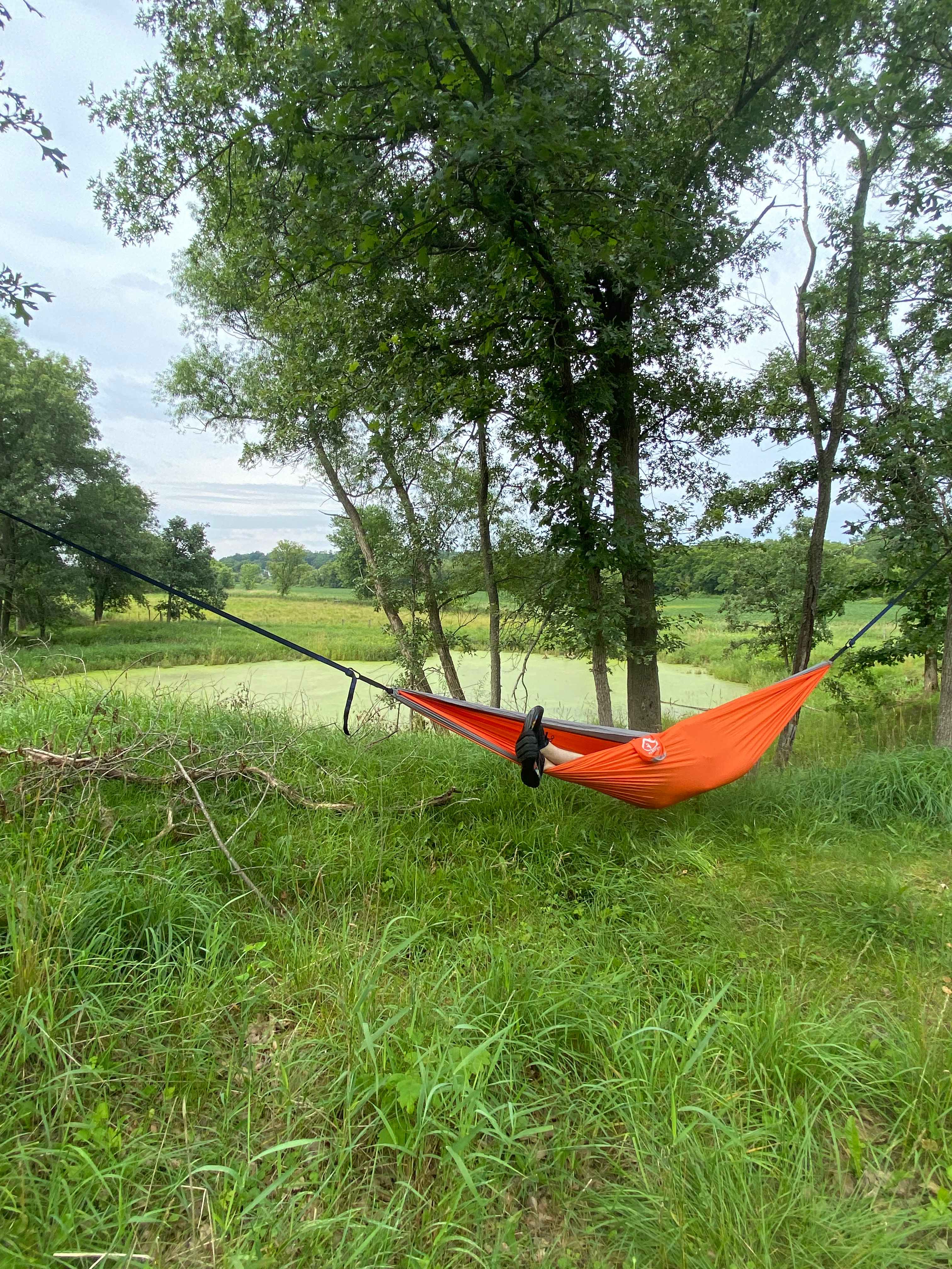 Circle M Farm Stay: Camp or Glamp