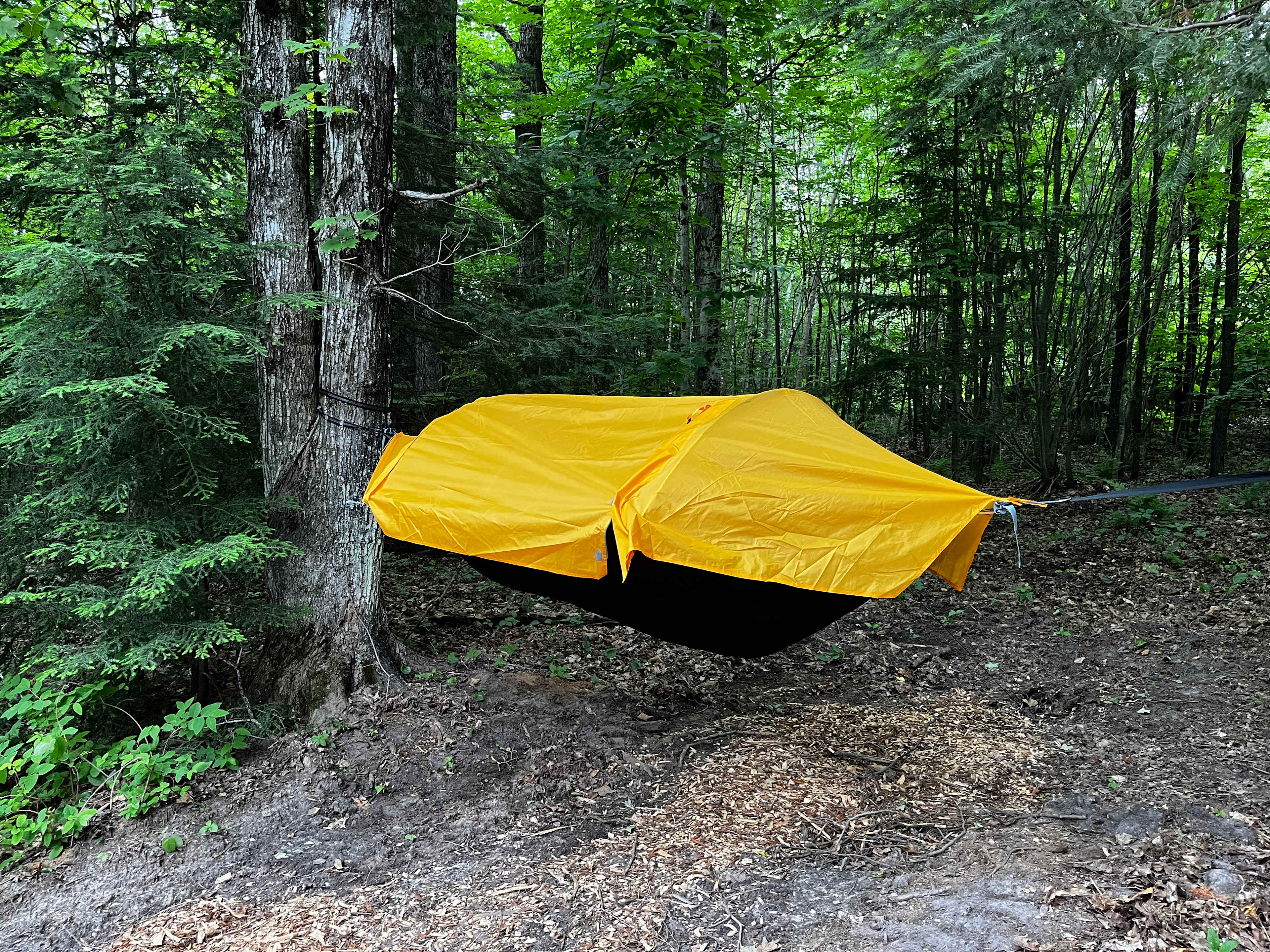 Added my own hammock - mostly to dry out. The site has great tree coverage and is very well maintained.