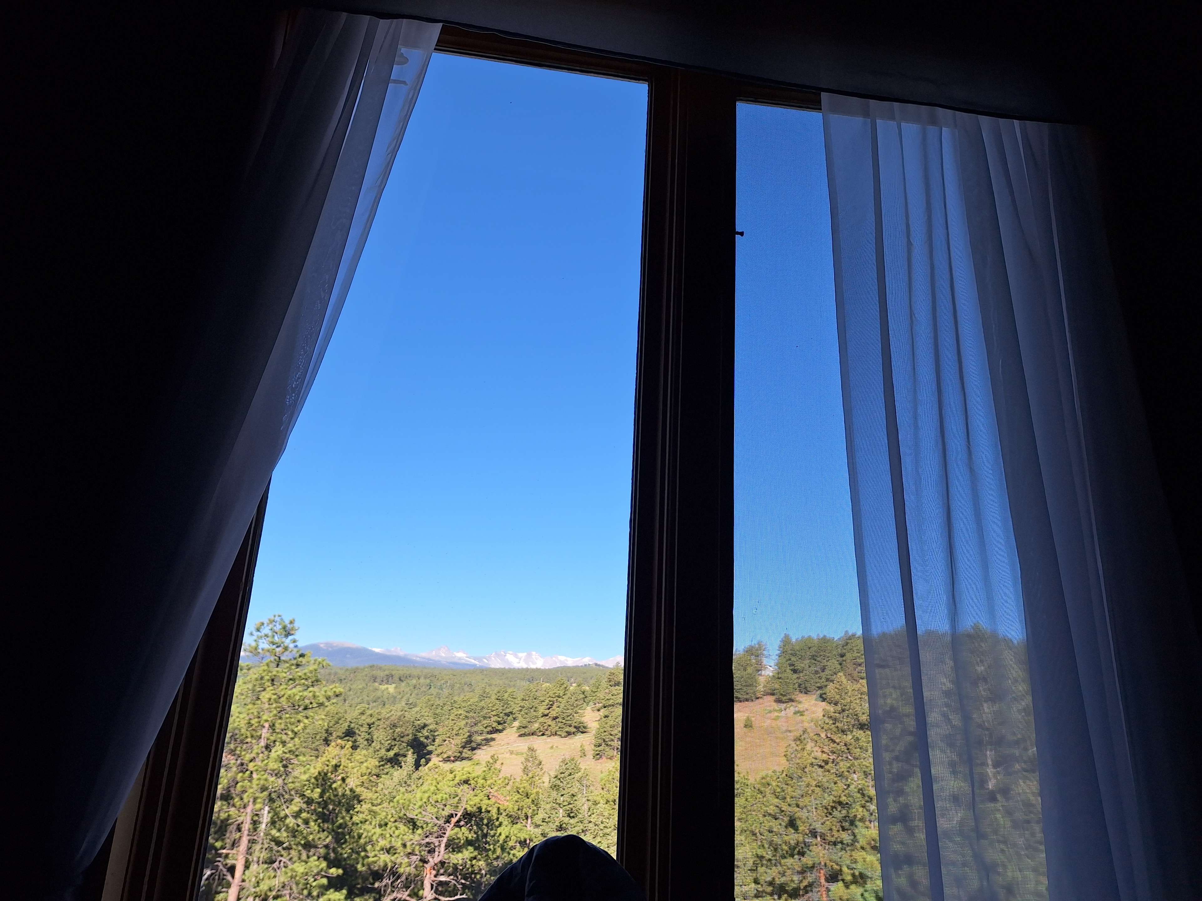 The Bluebear at Y Double-K Ranch
