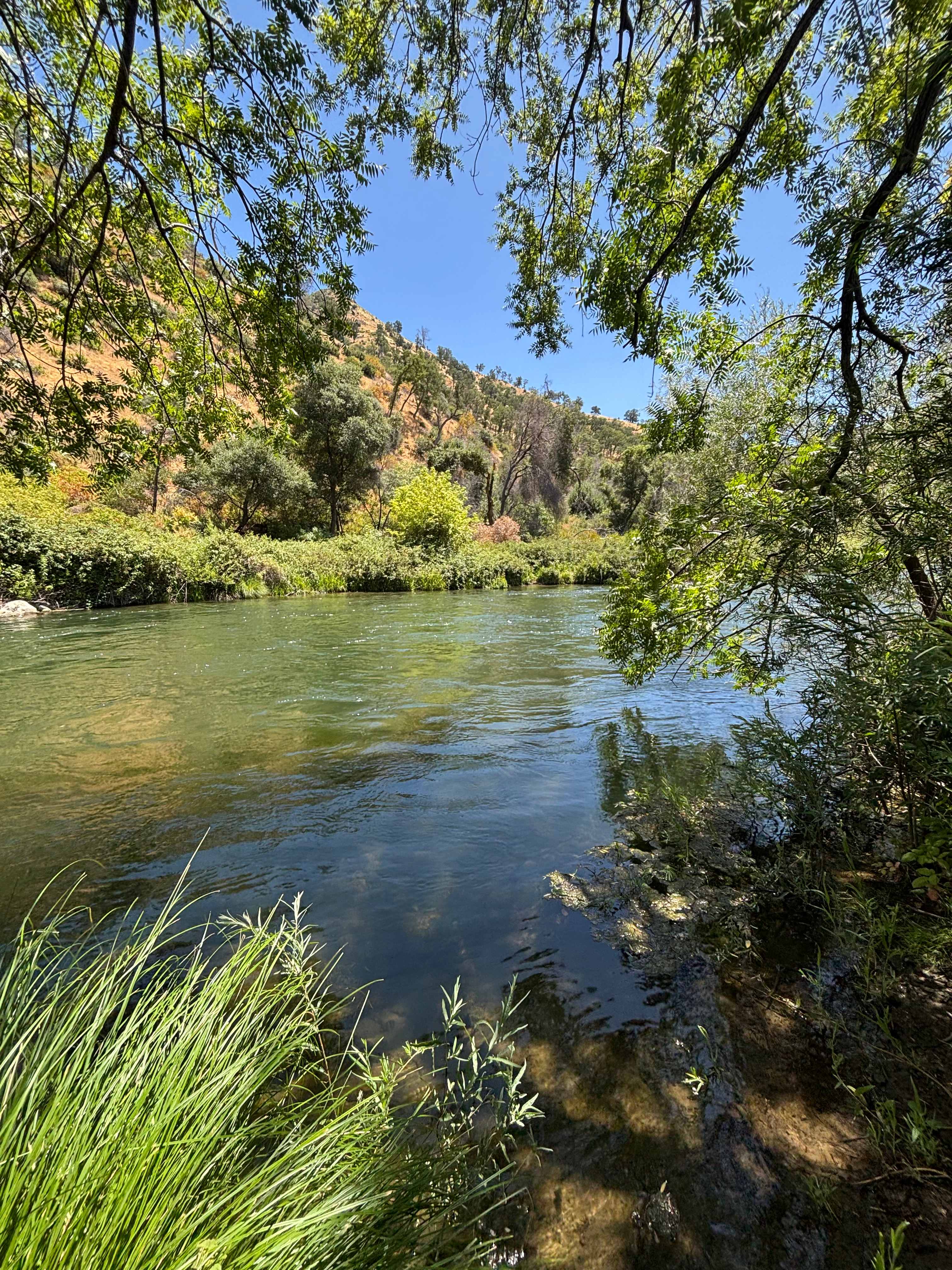 Canyon Creek Resort