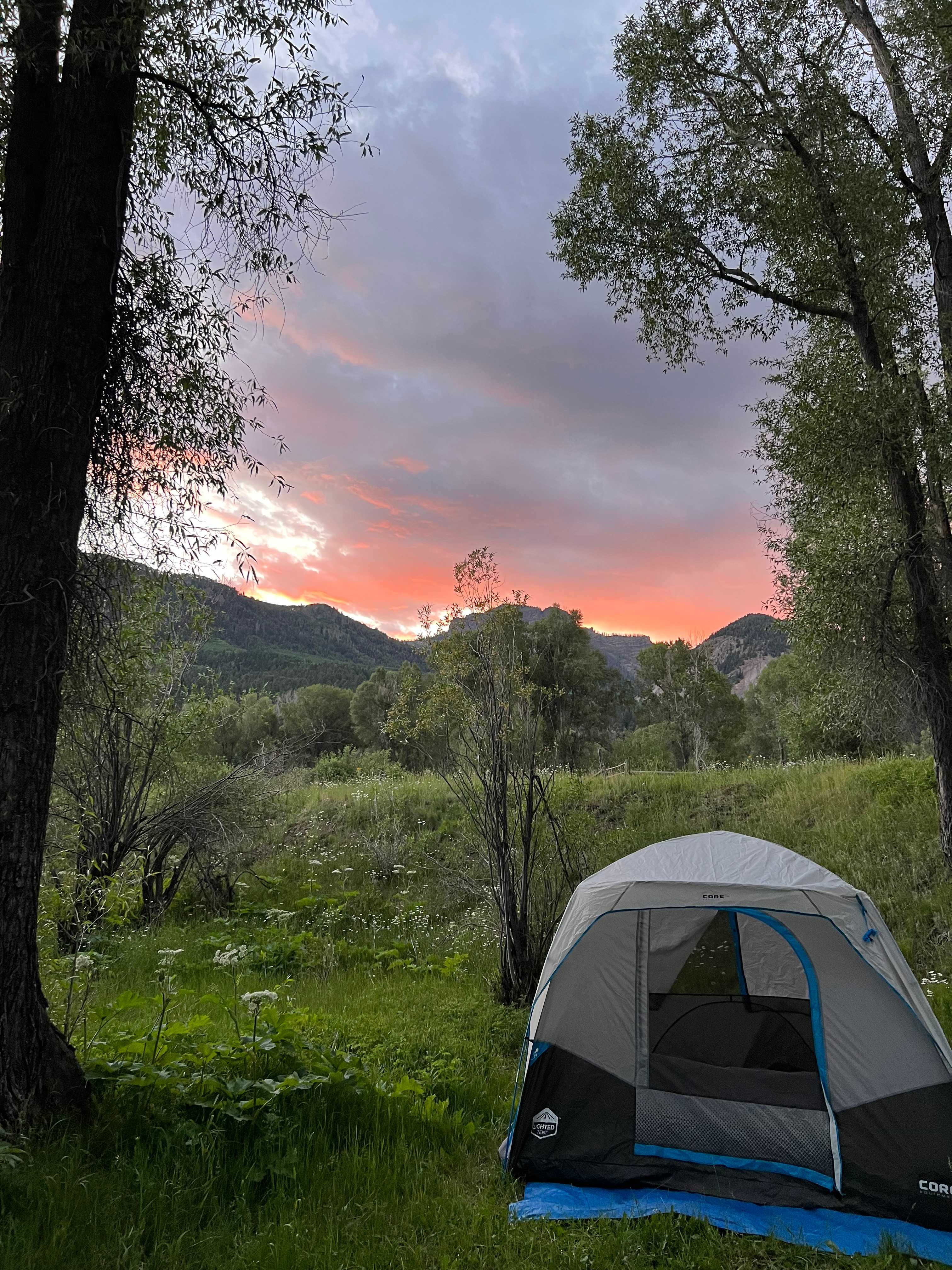 Wilderness Bud and Breakfast