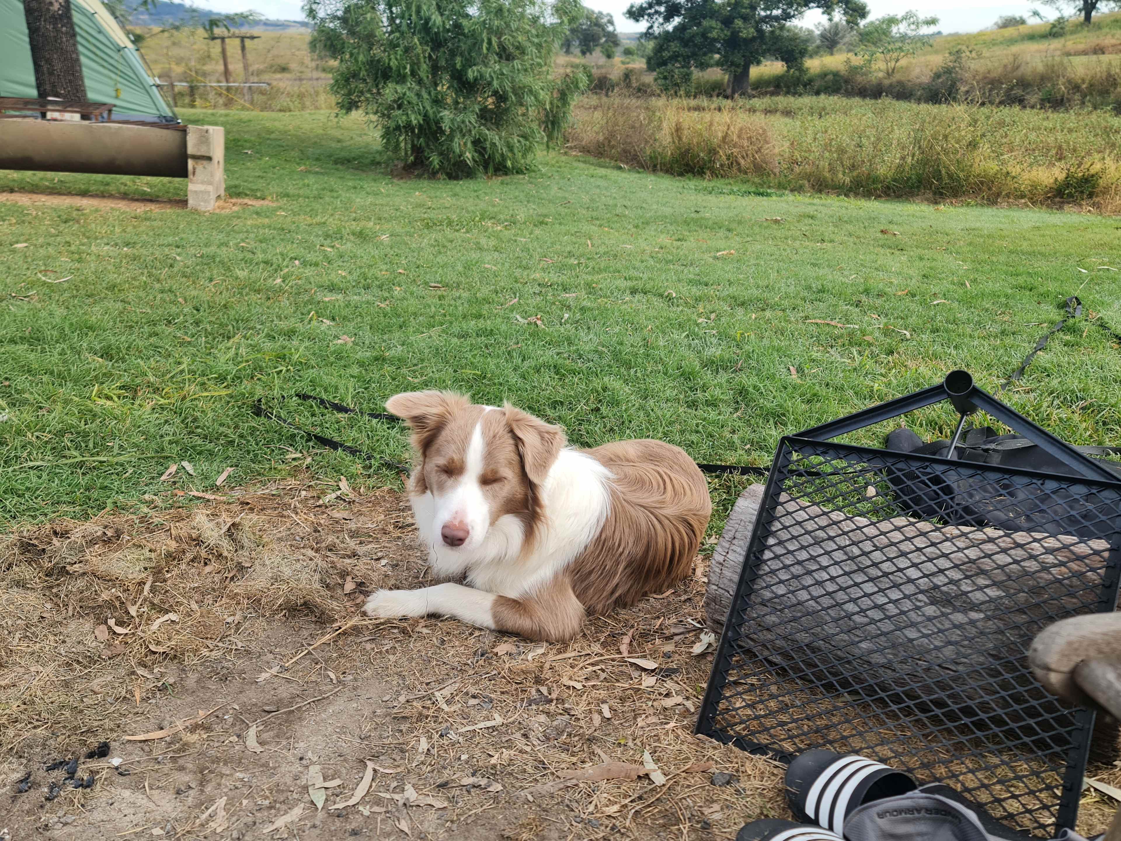 ‘Em ‘N’ Jay Farmstay