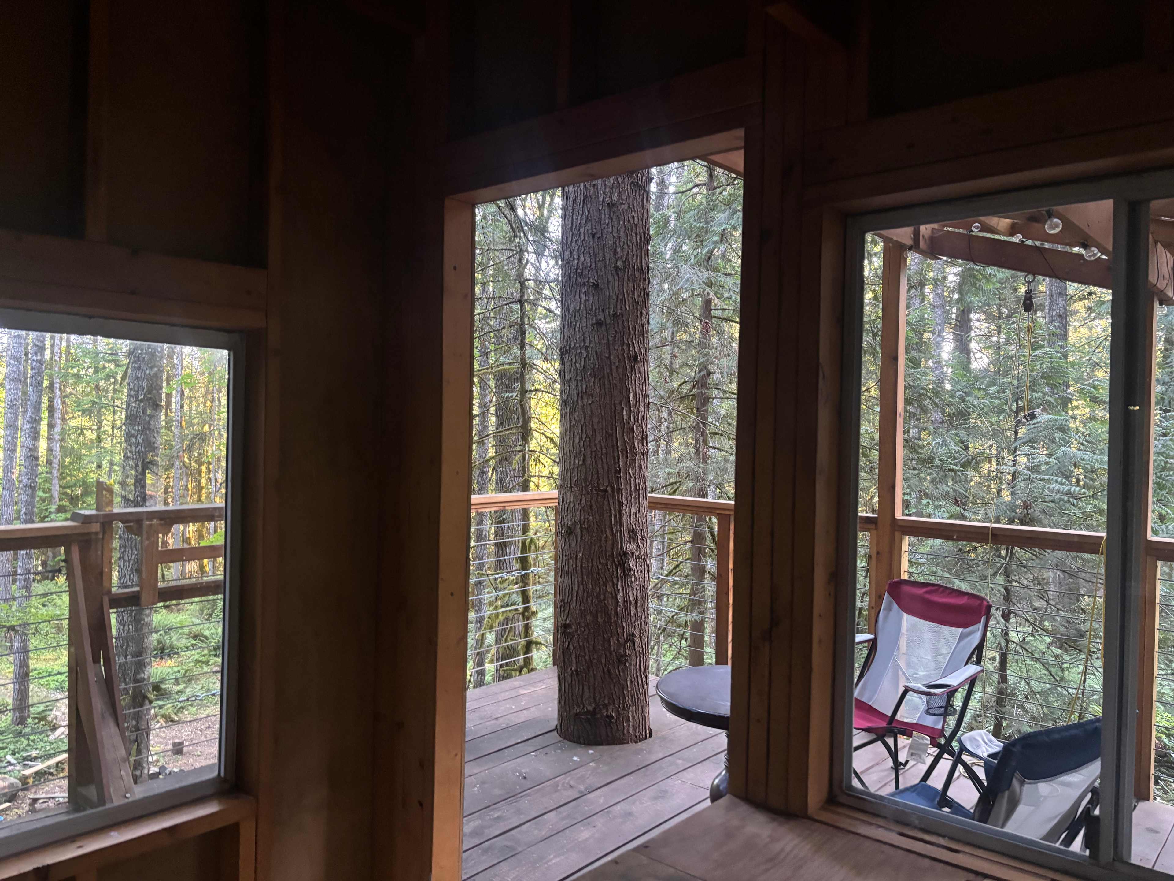 Forest Hideaway