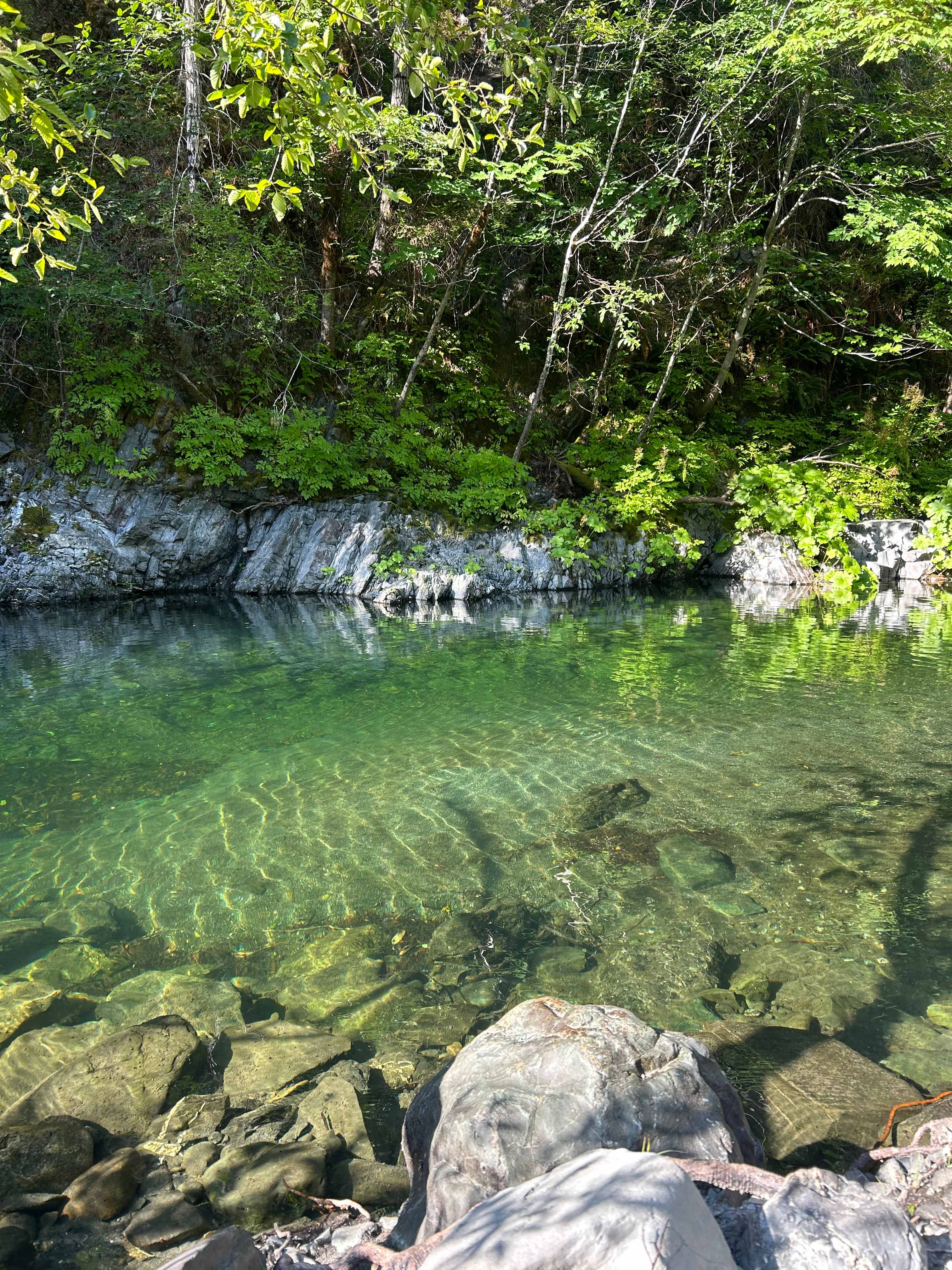 Tranquil Riverside Camping