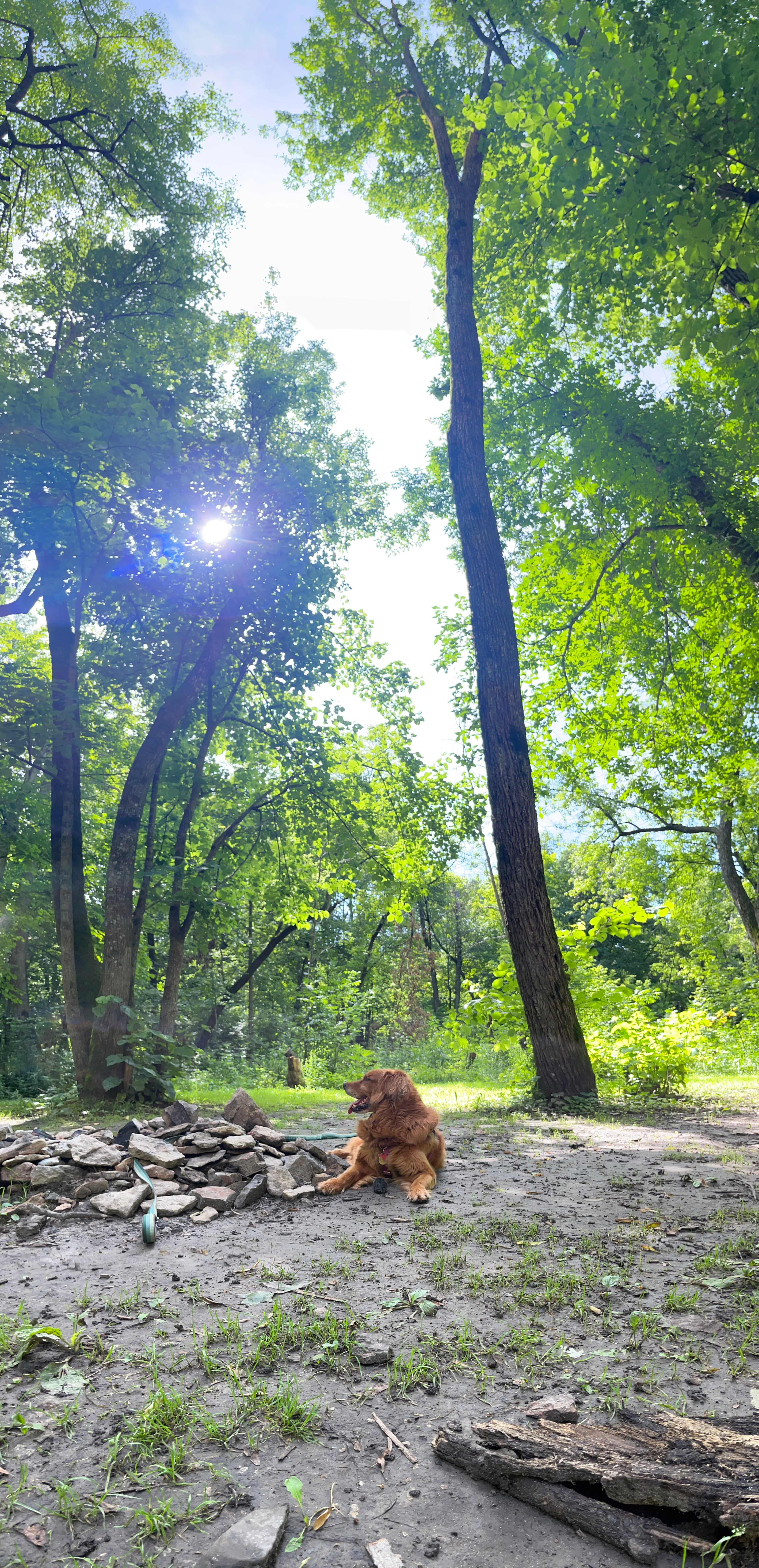 Bluff Hollow Camp on the Root River