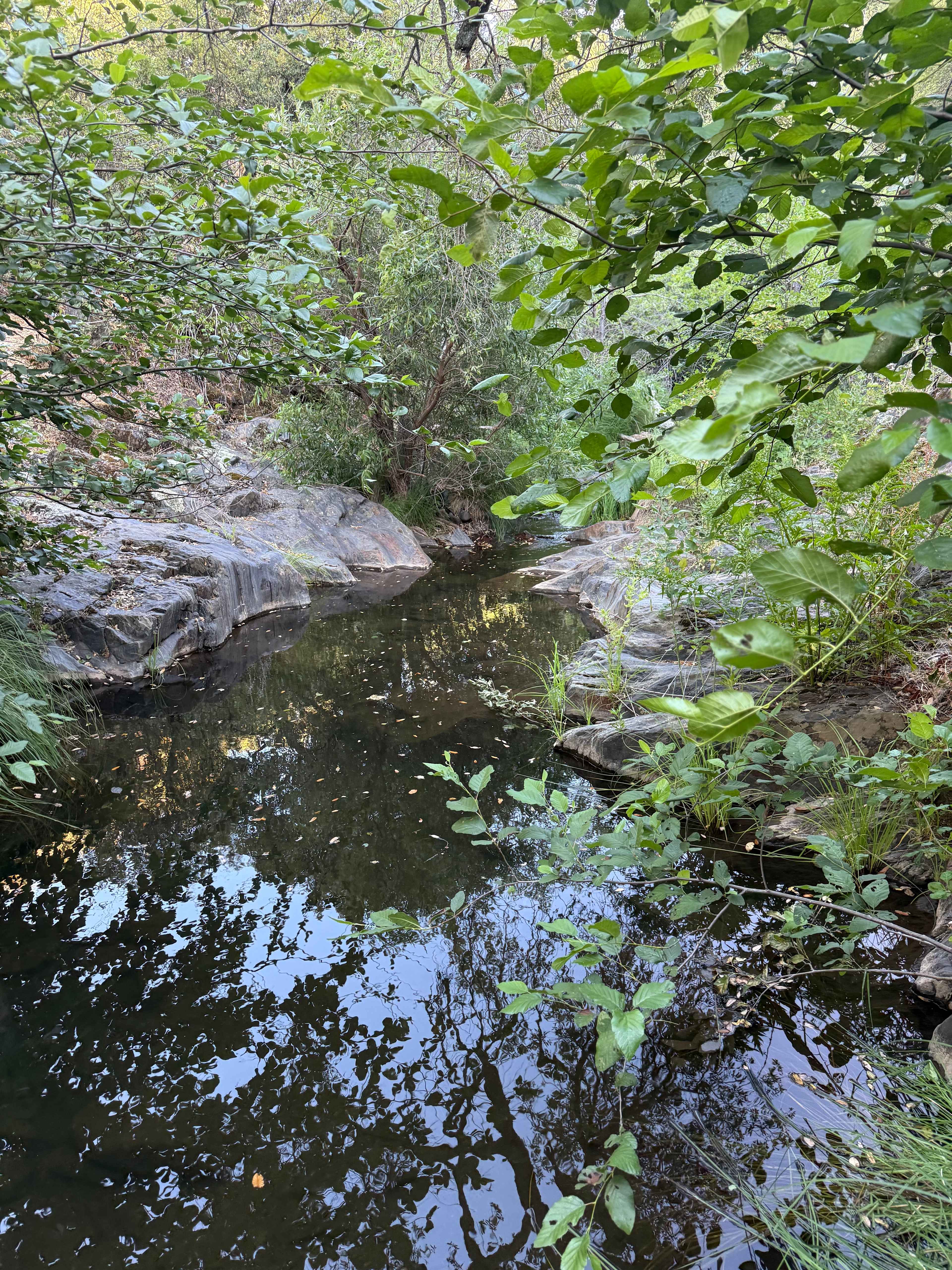 Murray Creek Homestead
