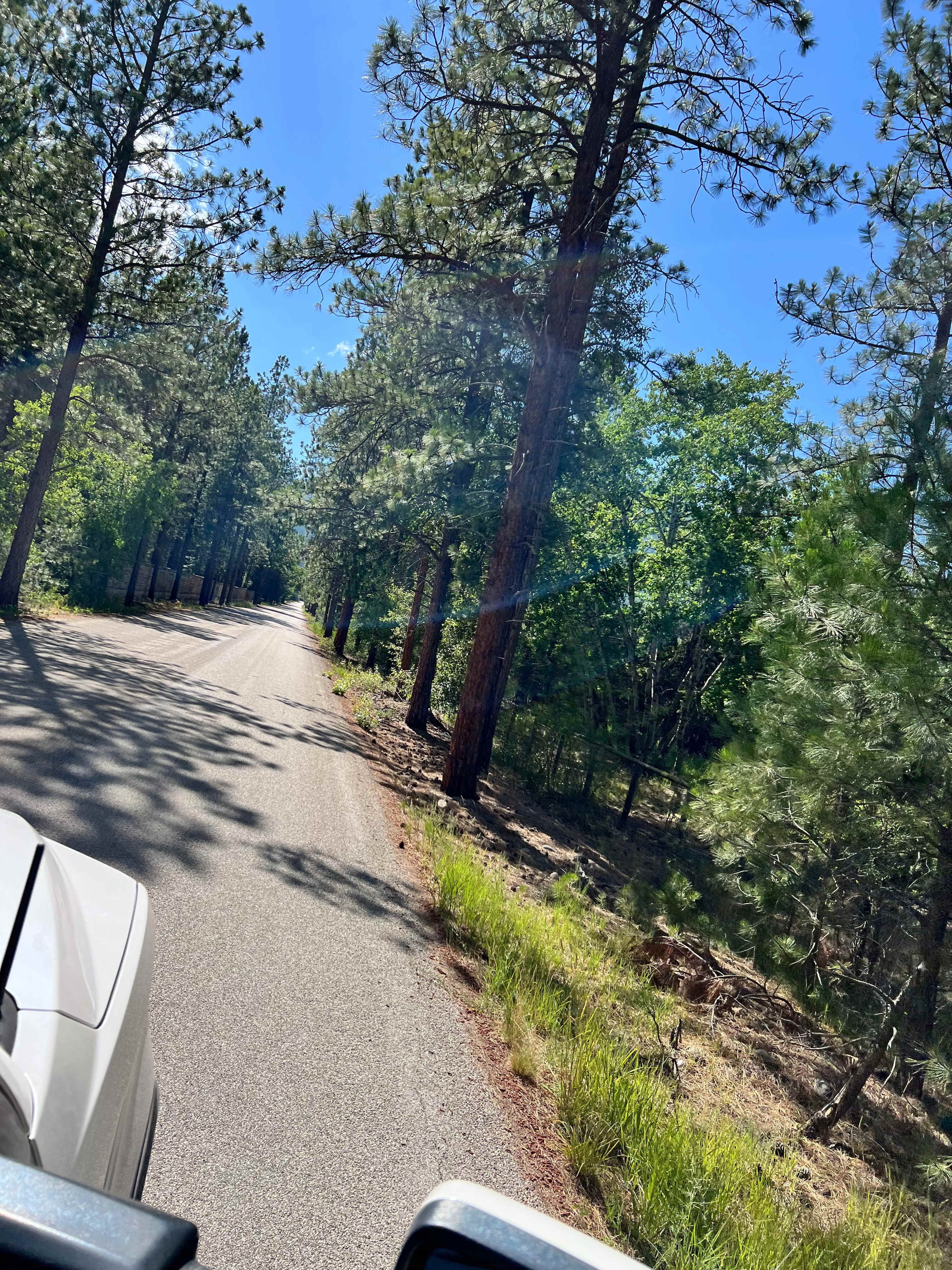 Short road to the TK Ranch. 