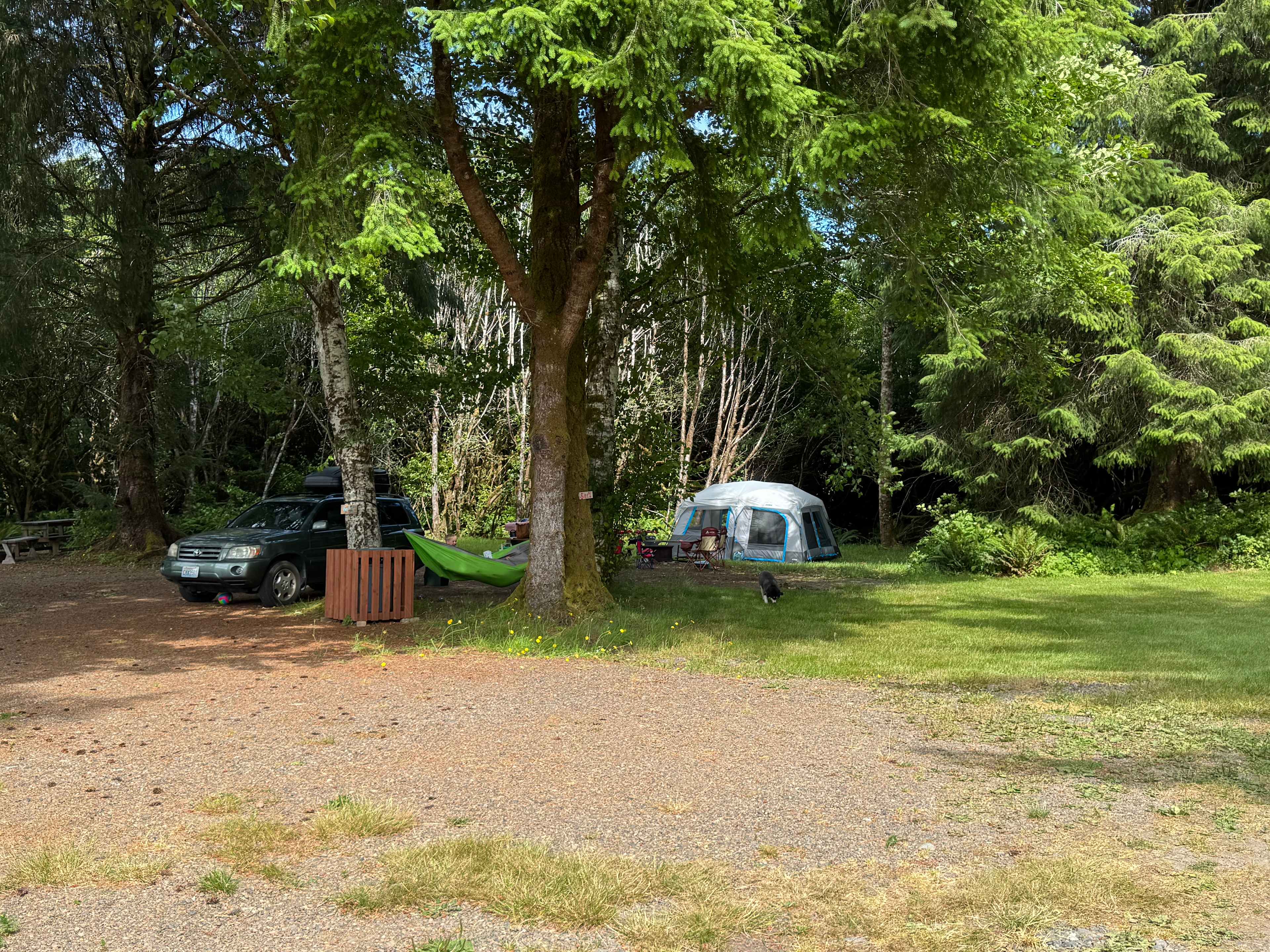 Camp site #1