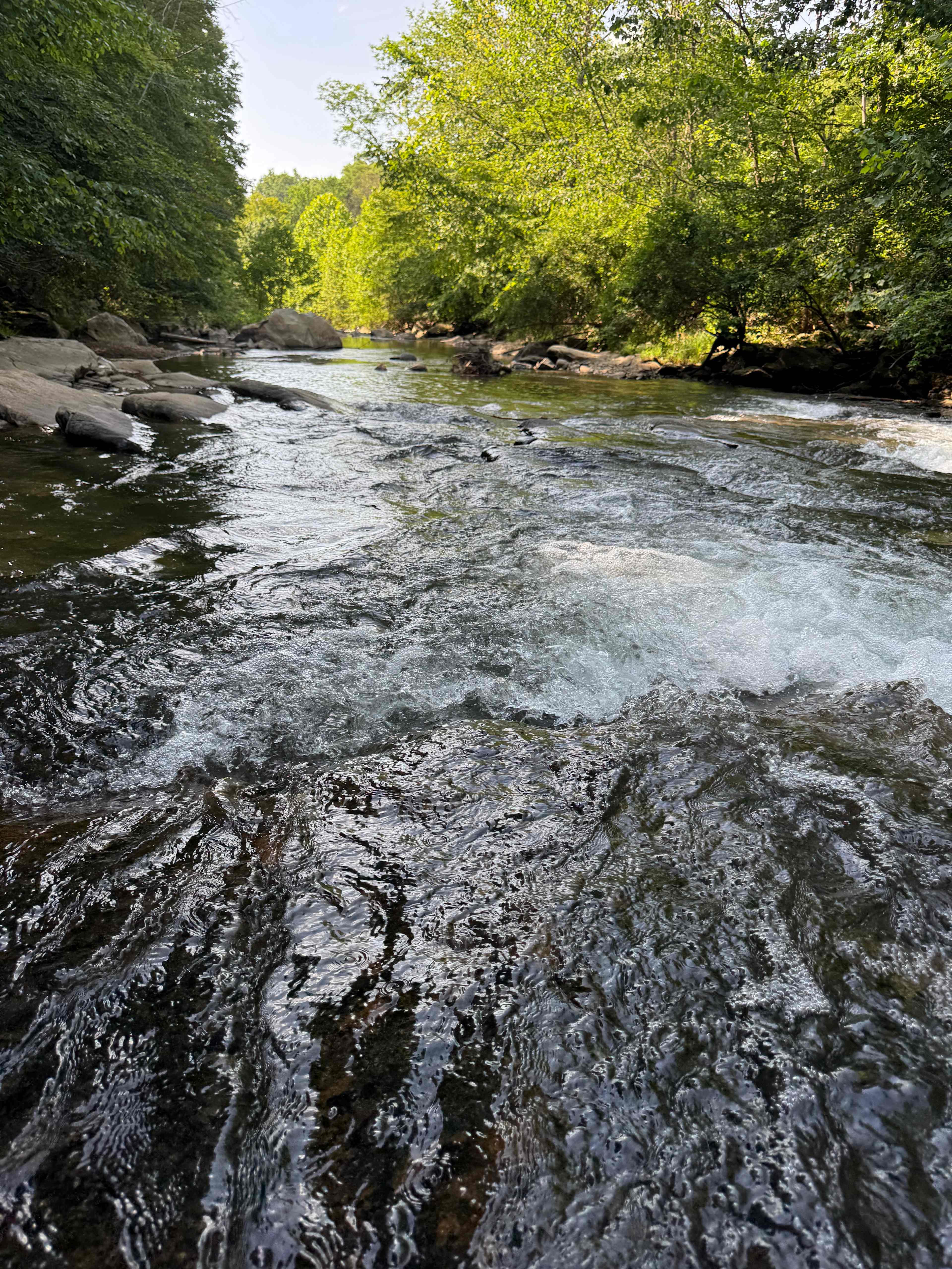 Abrams Creek Adventures (Site 1)