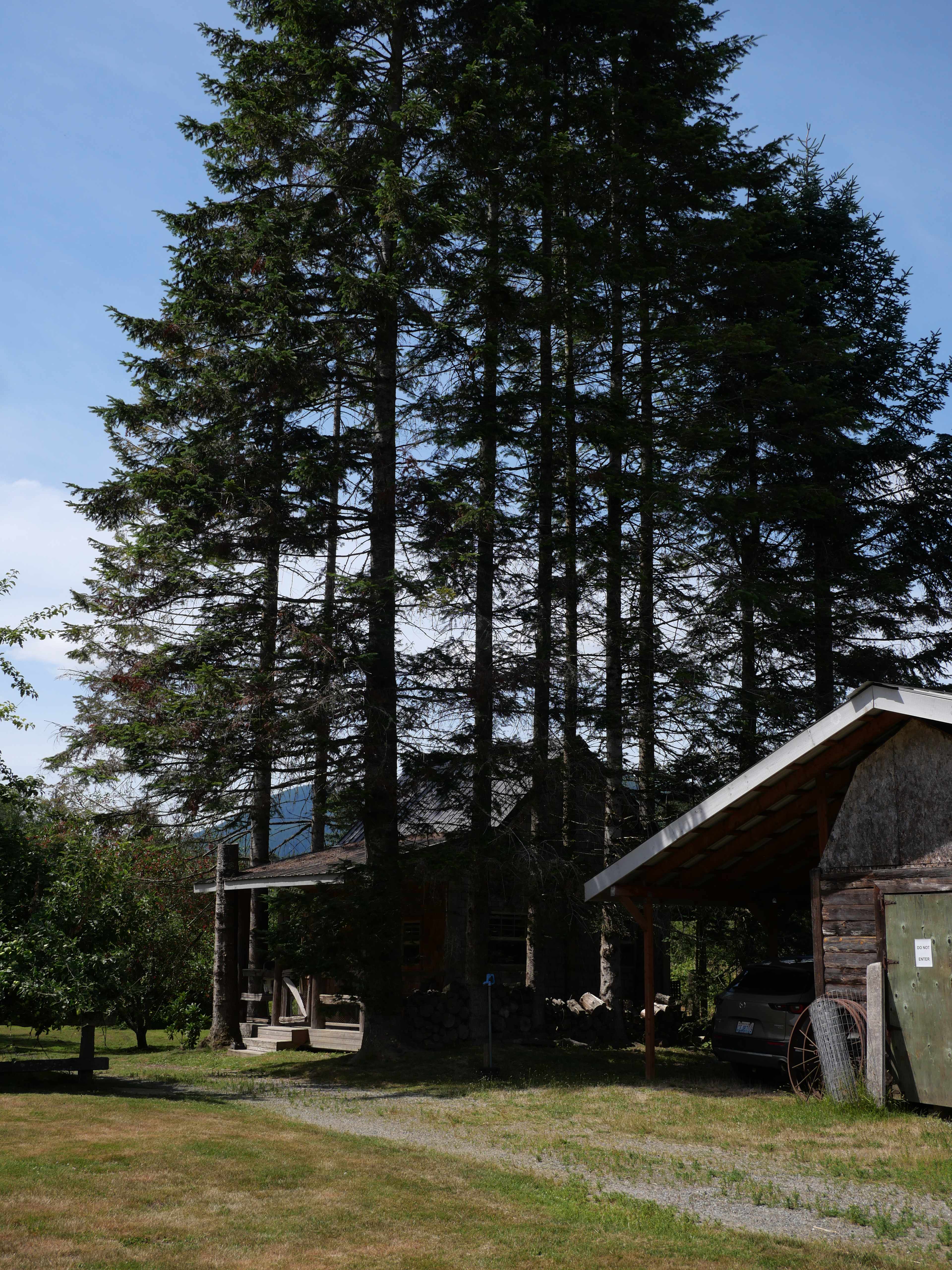 Oso Highlands