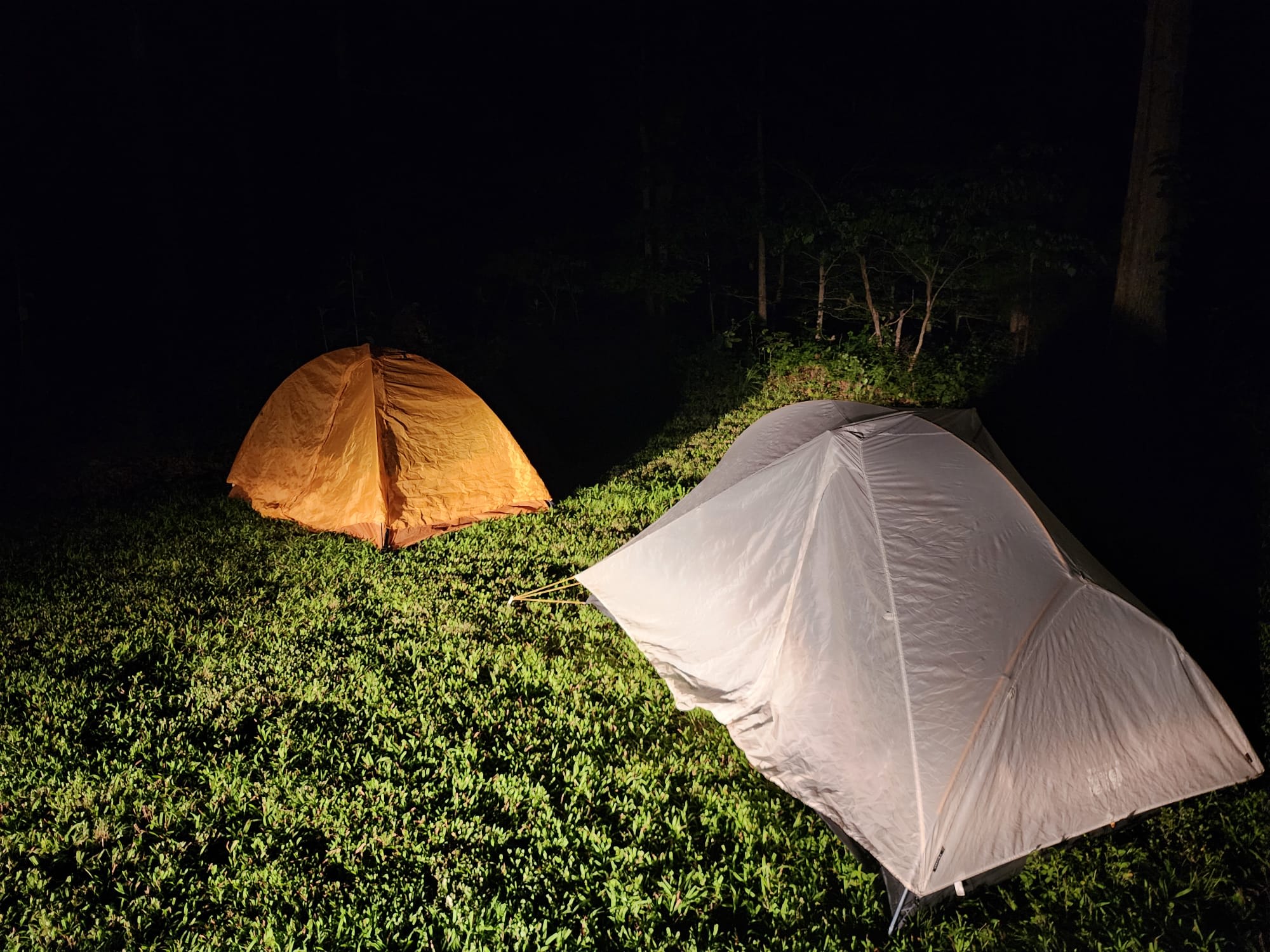 Flora and Fauna Camp