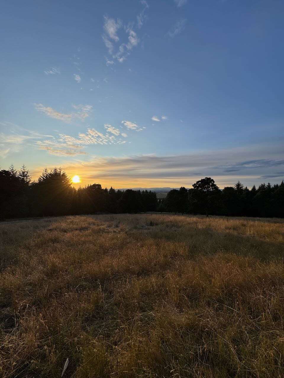 The Flying F Ranch Bunkhouse