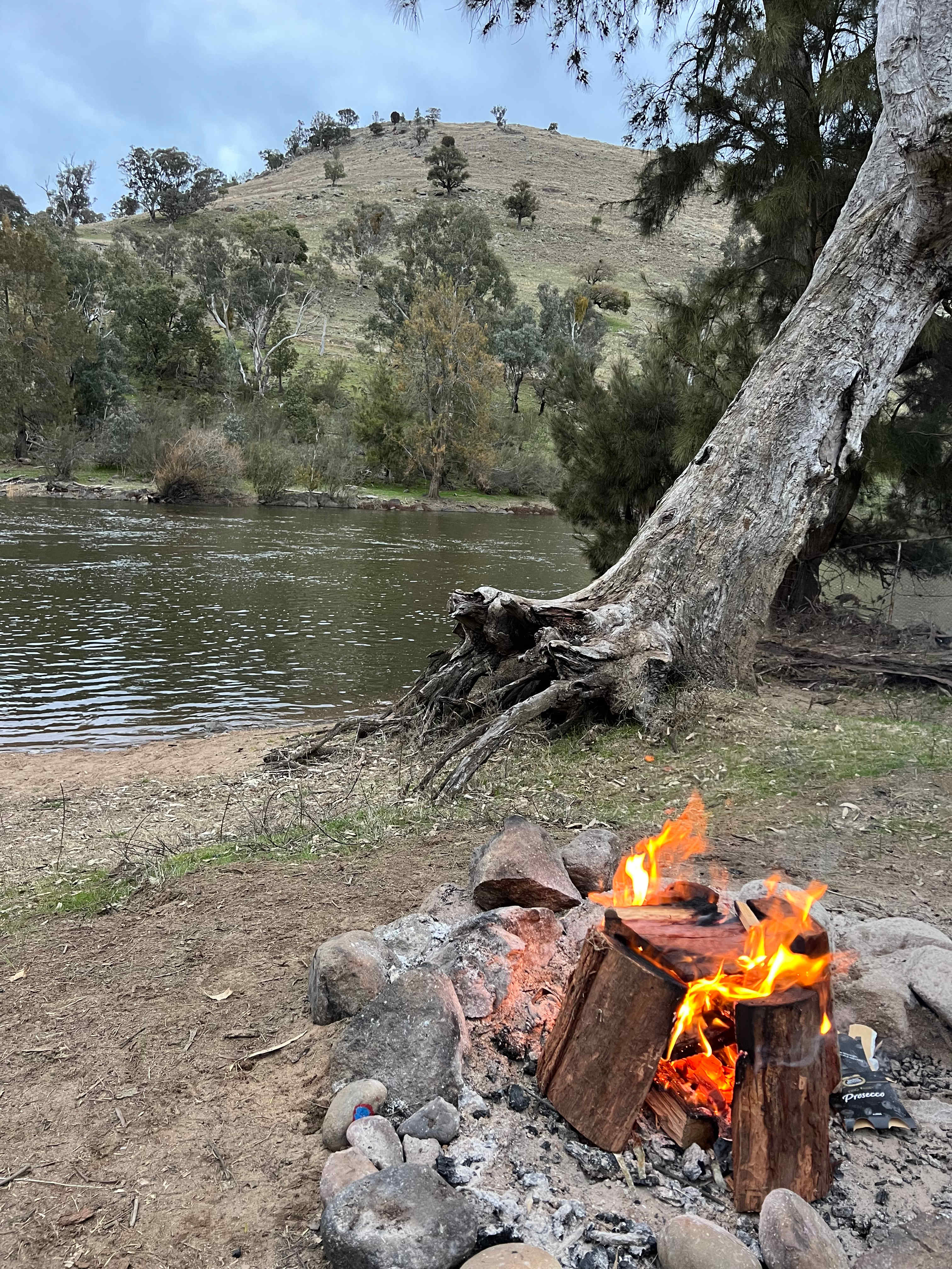 Jarabin on the Murrumbidgee