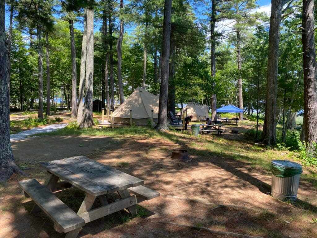 Picture of the site