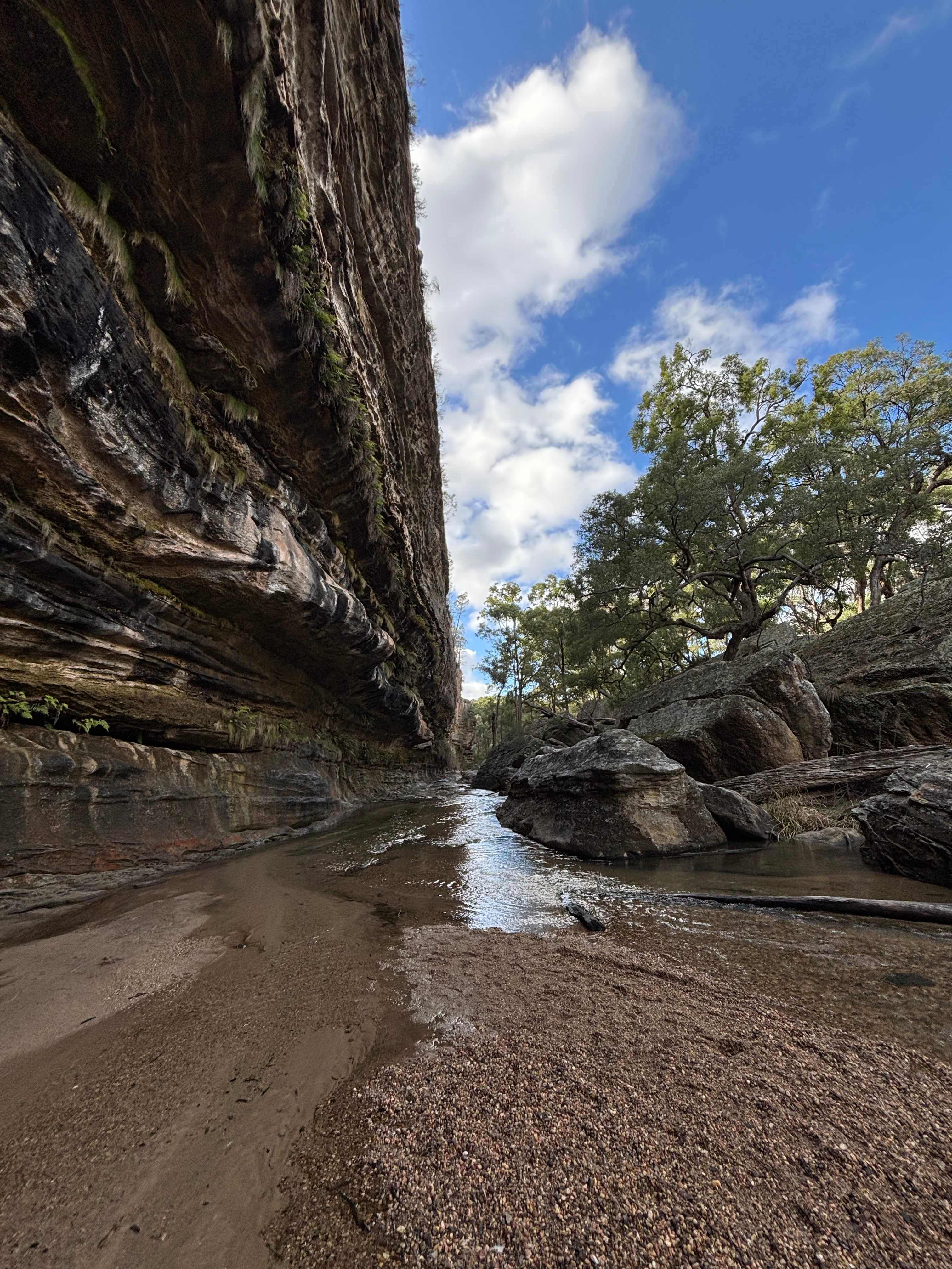 Romanche Gap Mudgee