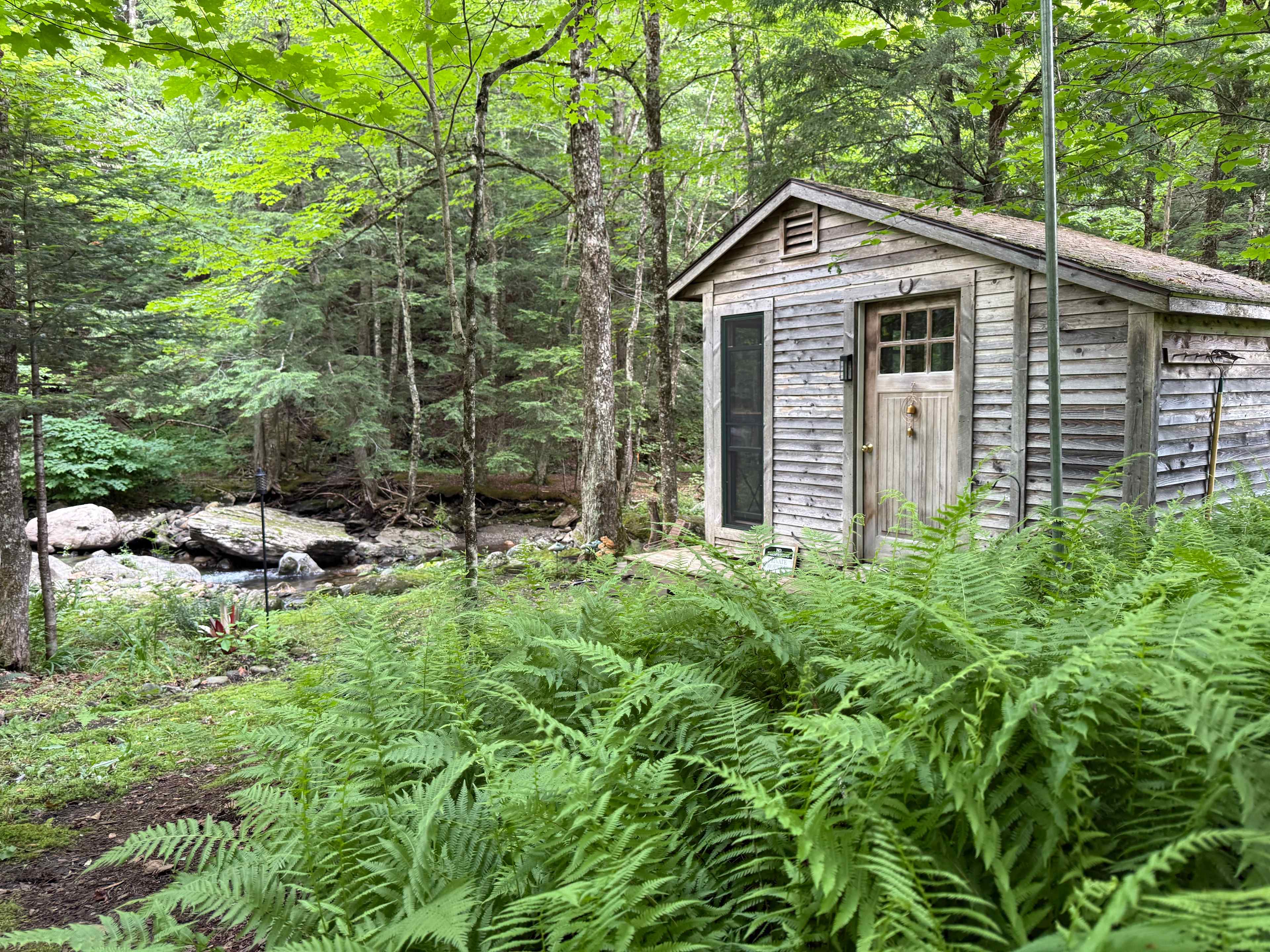 First Look at the Cabin
Tucked among the ferns and trees, the cabin comes into view like a secret you’ve just been let in on. This is the approach from the trail—a quiet welcome into your off-grid hideaway.