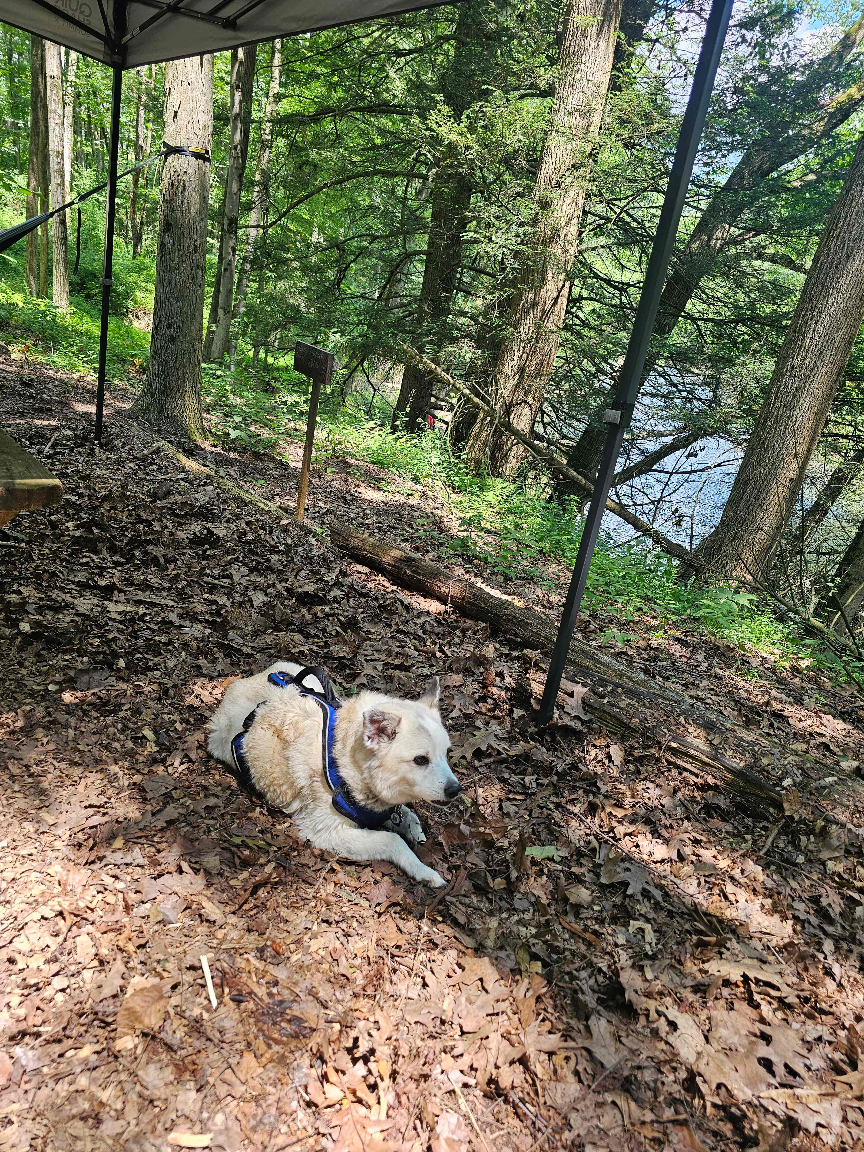 Peace & Quiet by the River!