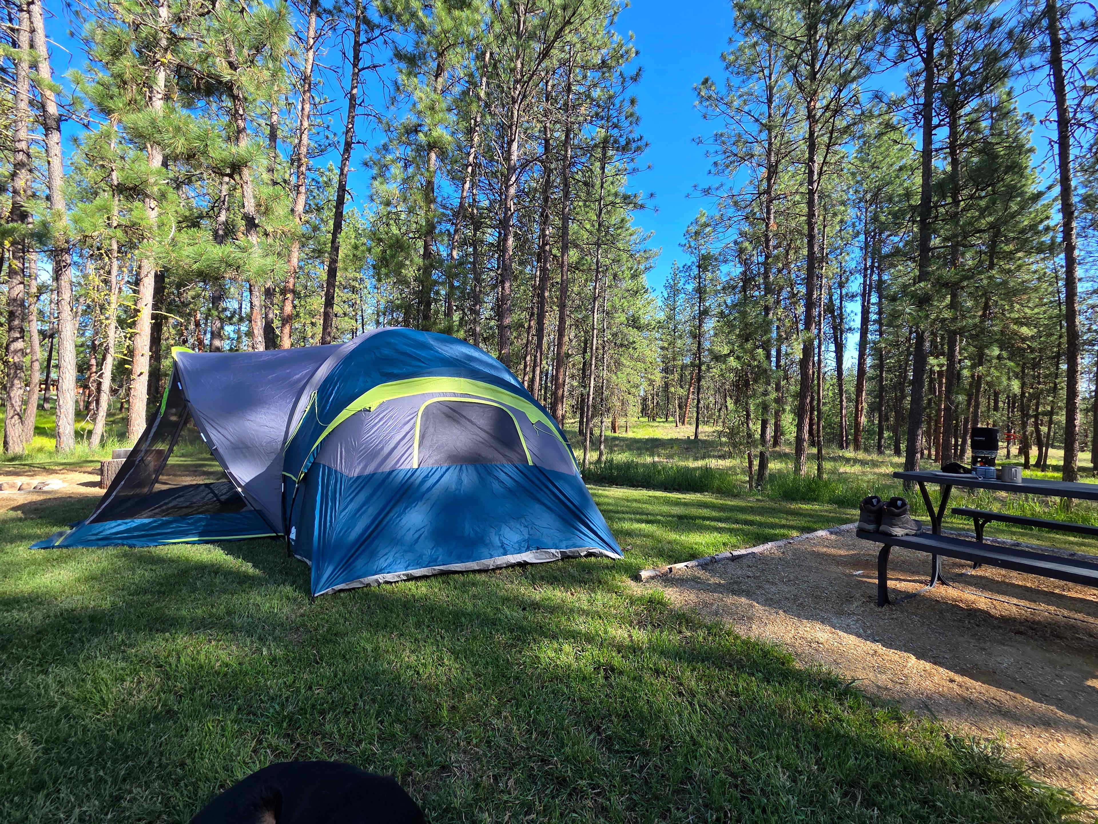 LAZY C Mini RV Park/Campground