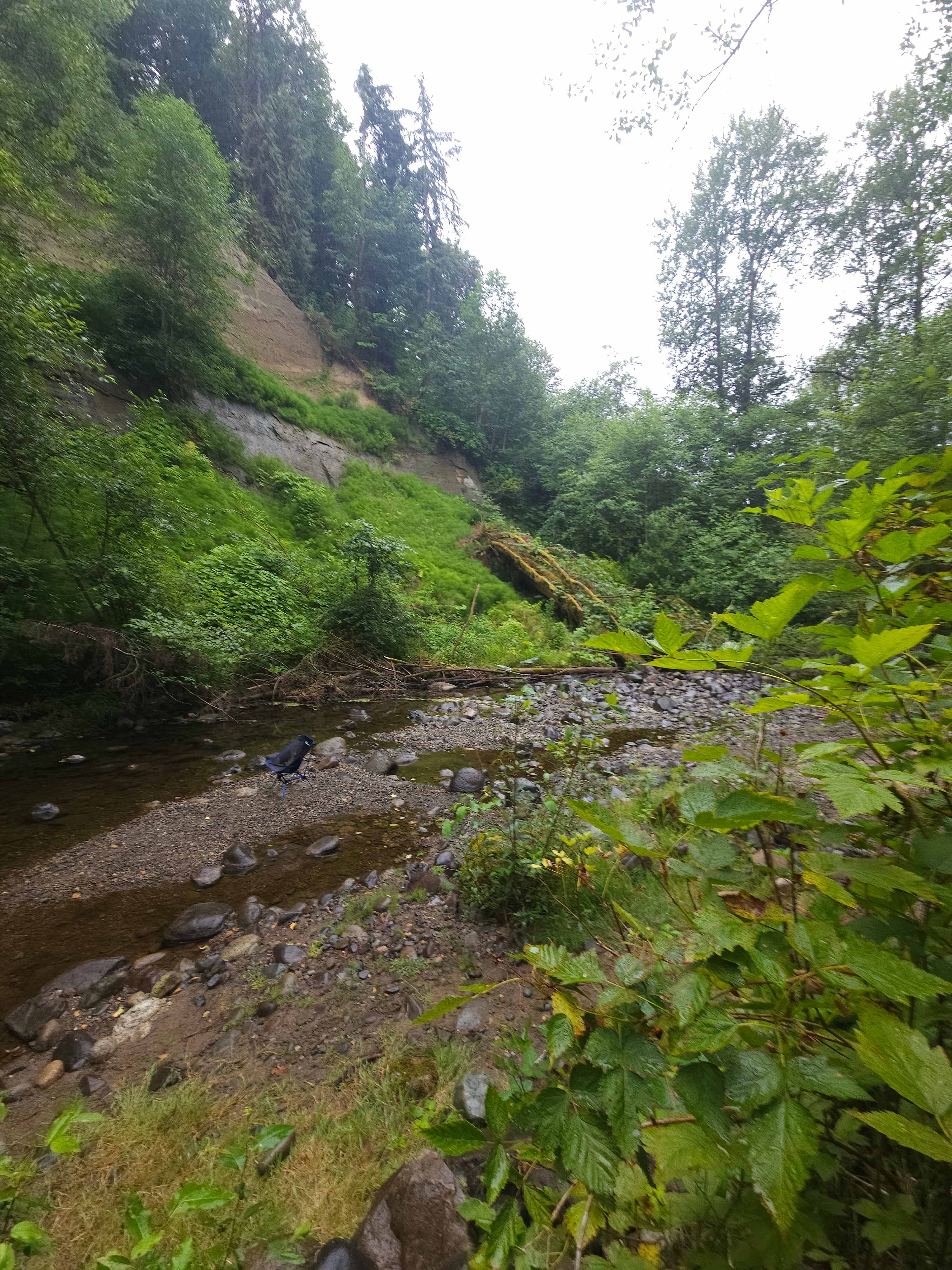 Camping in forest, next to a creek.