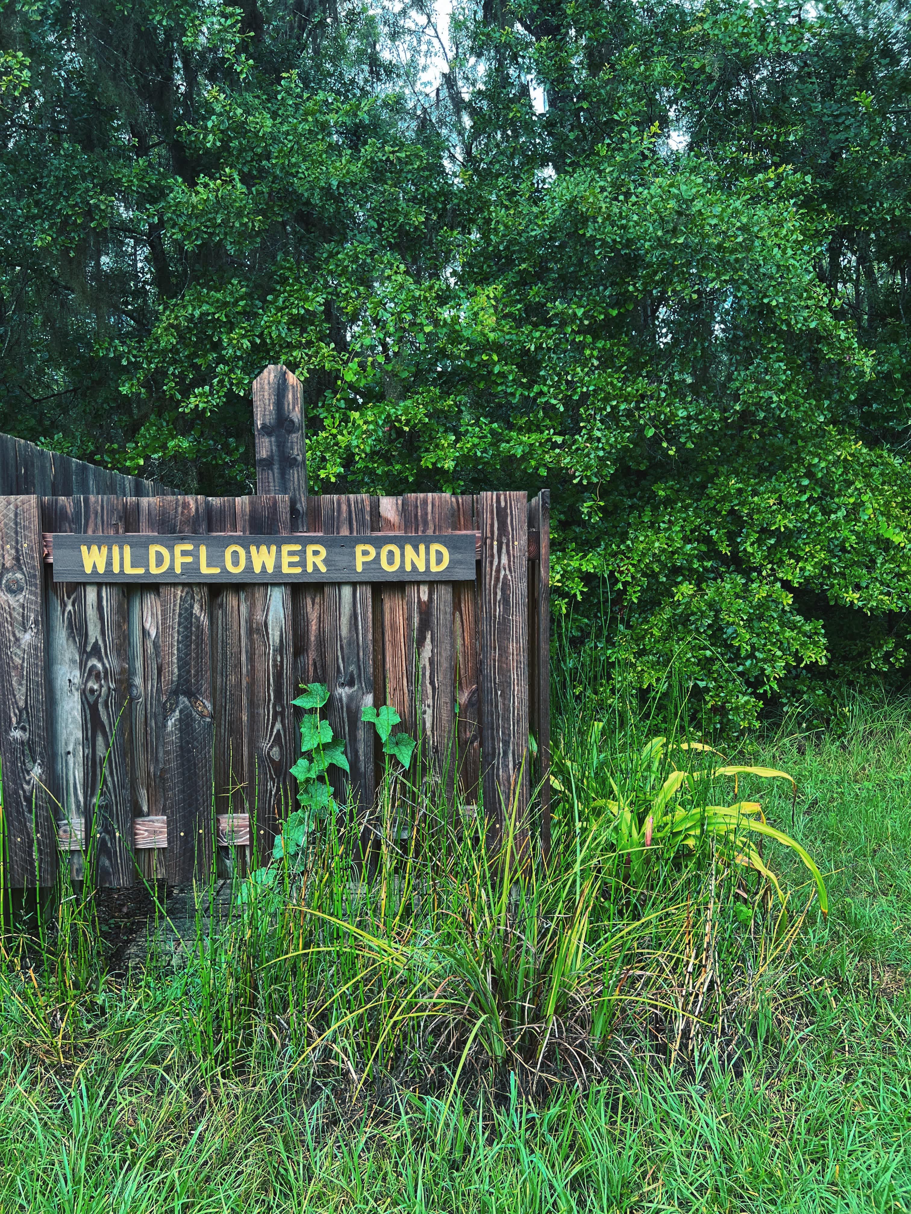 Wildflower Pond and Woodlands